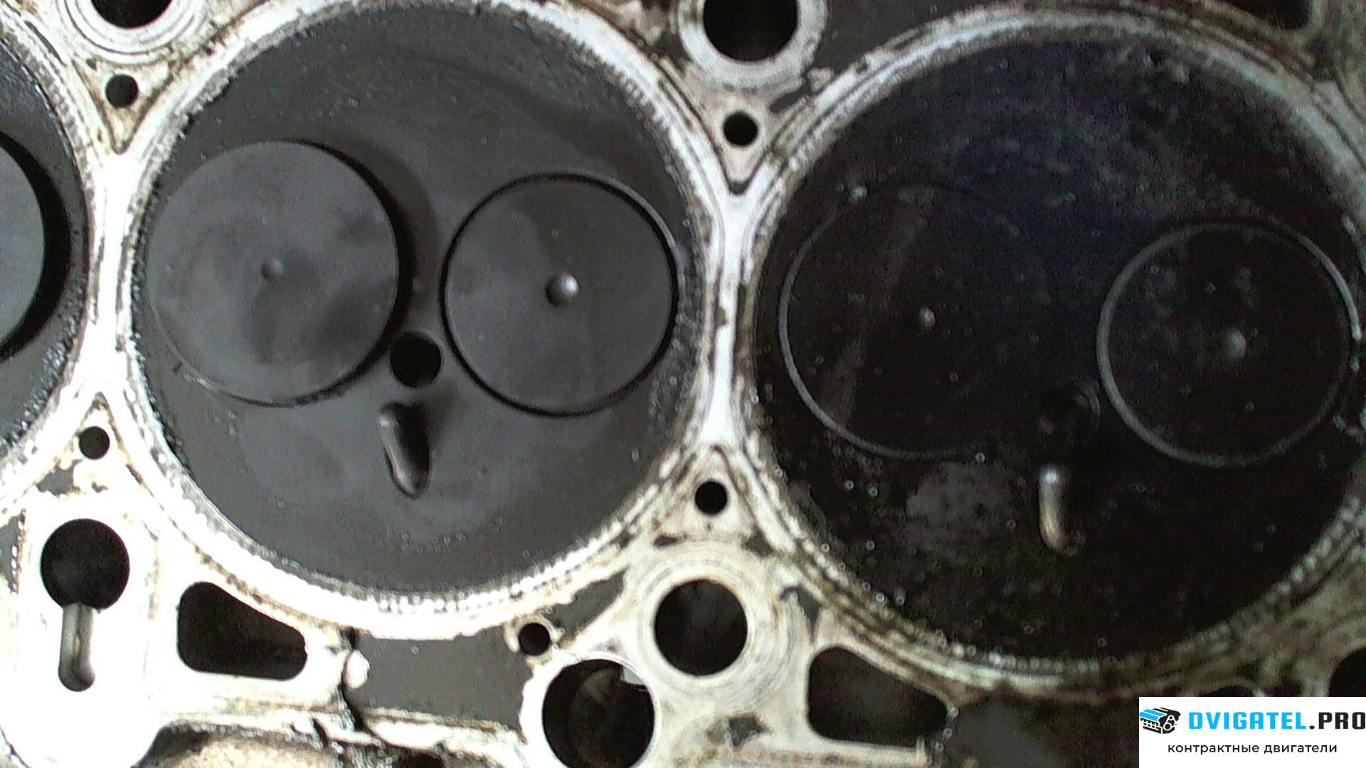 Головка блока цилиндров (ГБЦ) Volkswagen Touareg 2002 - 2007 AYH 5 л., Дизель, артикул 7767172