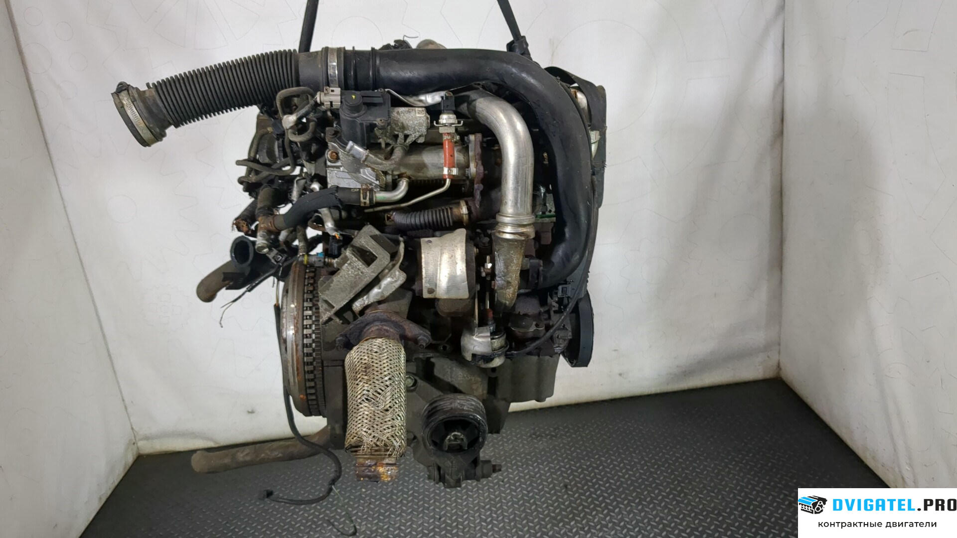 Двигатель Nissan Qashqai 2006 - 2013 K9K 1.5 л., Дизель, DCI, артикул 8831342