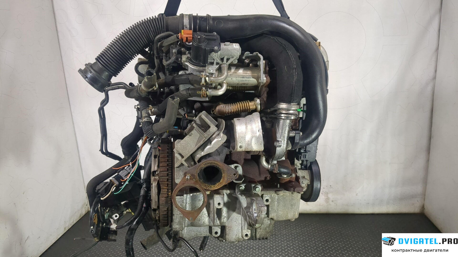 Двигатель Nissan Note E11 2006 - 2013 K9K 1.5 л., Дизель, DCI, артикул 8772436