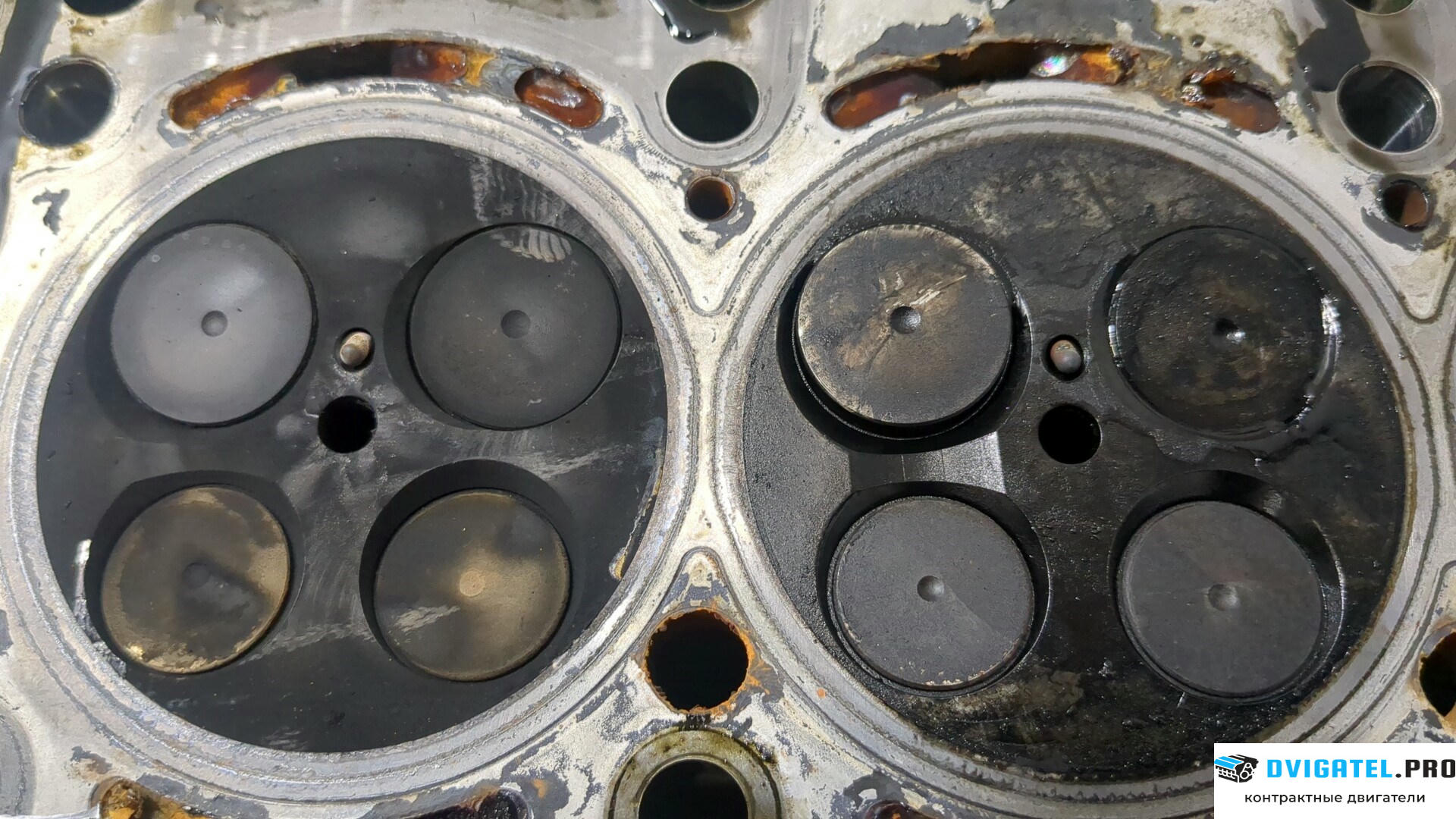 Головка блока цилиндров (ГБЦ) Mercedes Sprinter 2006 - 2014 OM 651.955 DE 22 LA 2.1 л., Дизель, CDI, артикул 9138511