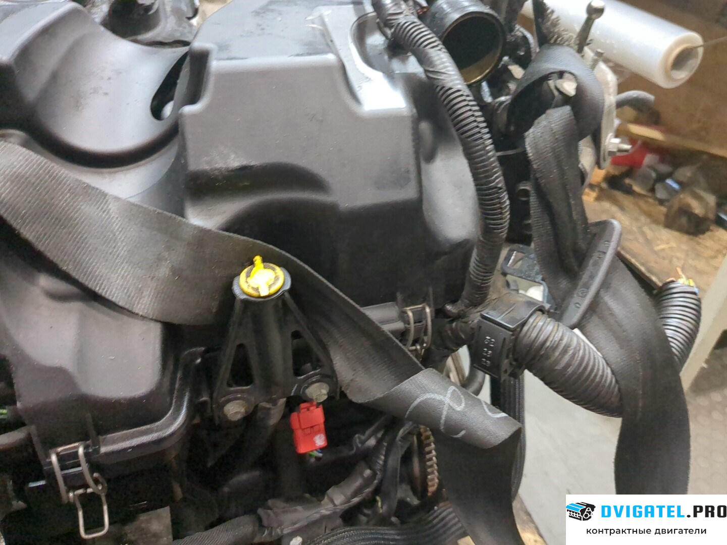 Двигатель Nissan Qashqai 2006 - 2013 K9K 1.5 л., Дизель, DCI, артикул 9014008