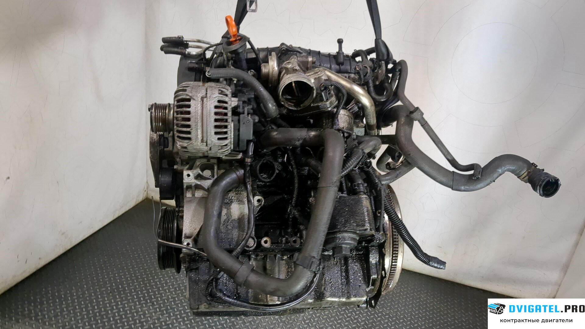 Двигатель Volkswagen Golf 5 2003 - 2009 BKD 2 л., Дизель, TDI, артикул 9281740