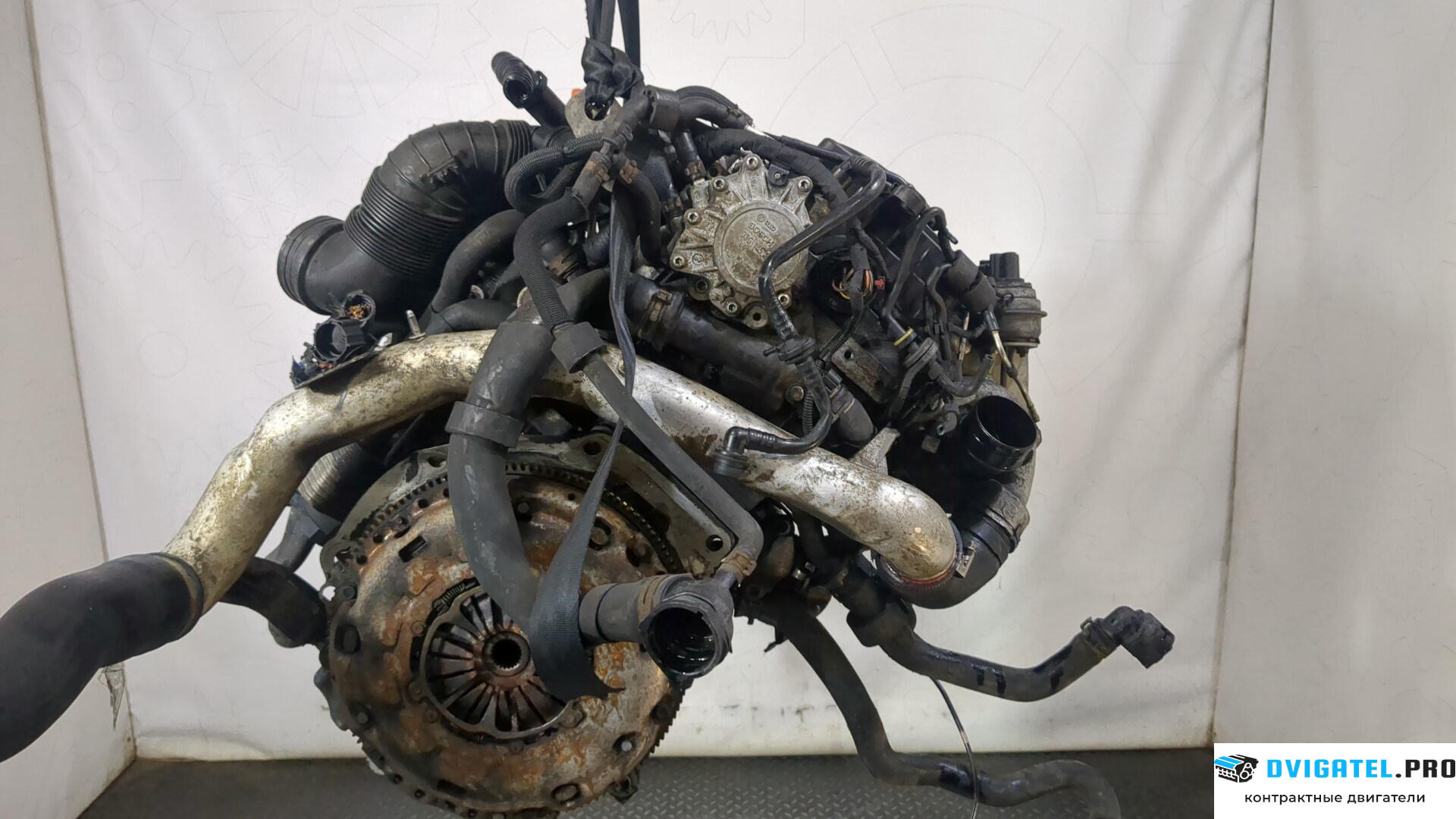 Двигатель Audi A3 8P 2004 - 2008 BMN 2 л., Дизель, TDI, артикул 8976245