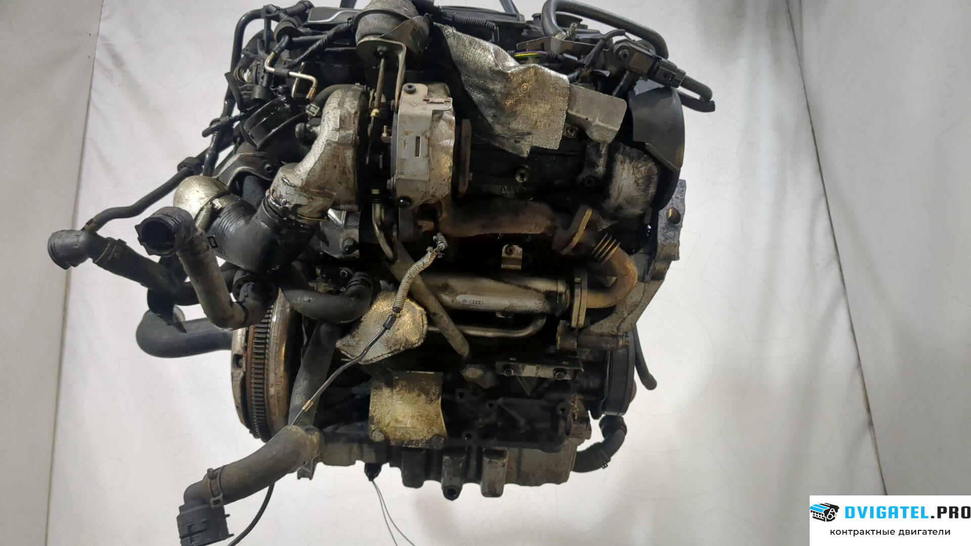 Двигатель Audi A3 8P 2004 - 2008 BMN 2 л., Дизель, TDI, артикул 8976245