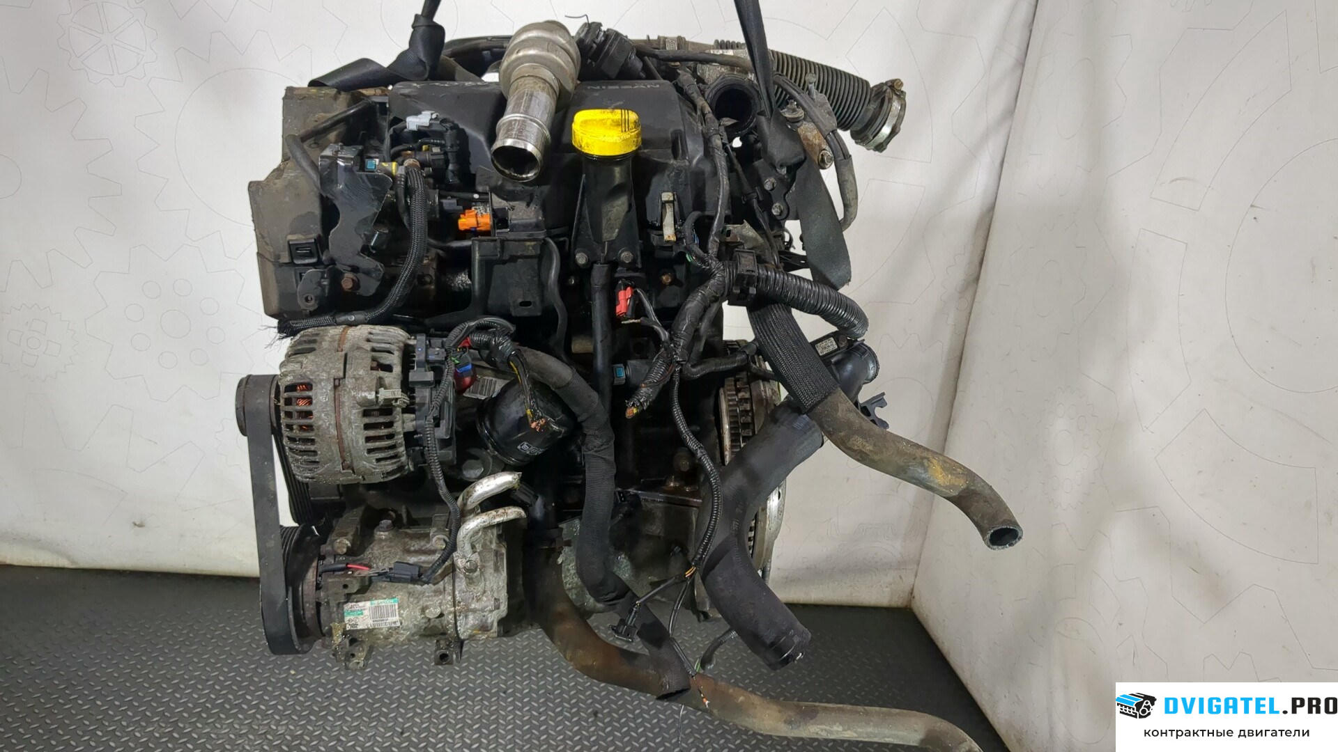 Двигатель Nissan Qashqai 2006 - 2013 K9K 1.5 л., Дизель, DCI, артикул 8831342
