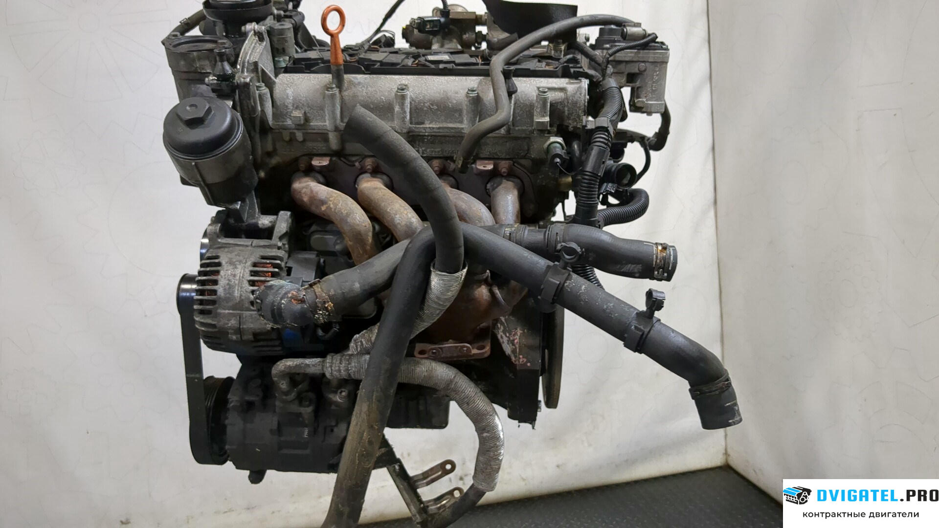 Двигатель Volkswagen Golf 5 2003 - 2009 BLP 1.6 л., Бензин, FSI, артикул 8263692