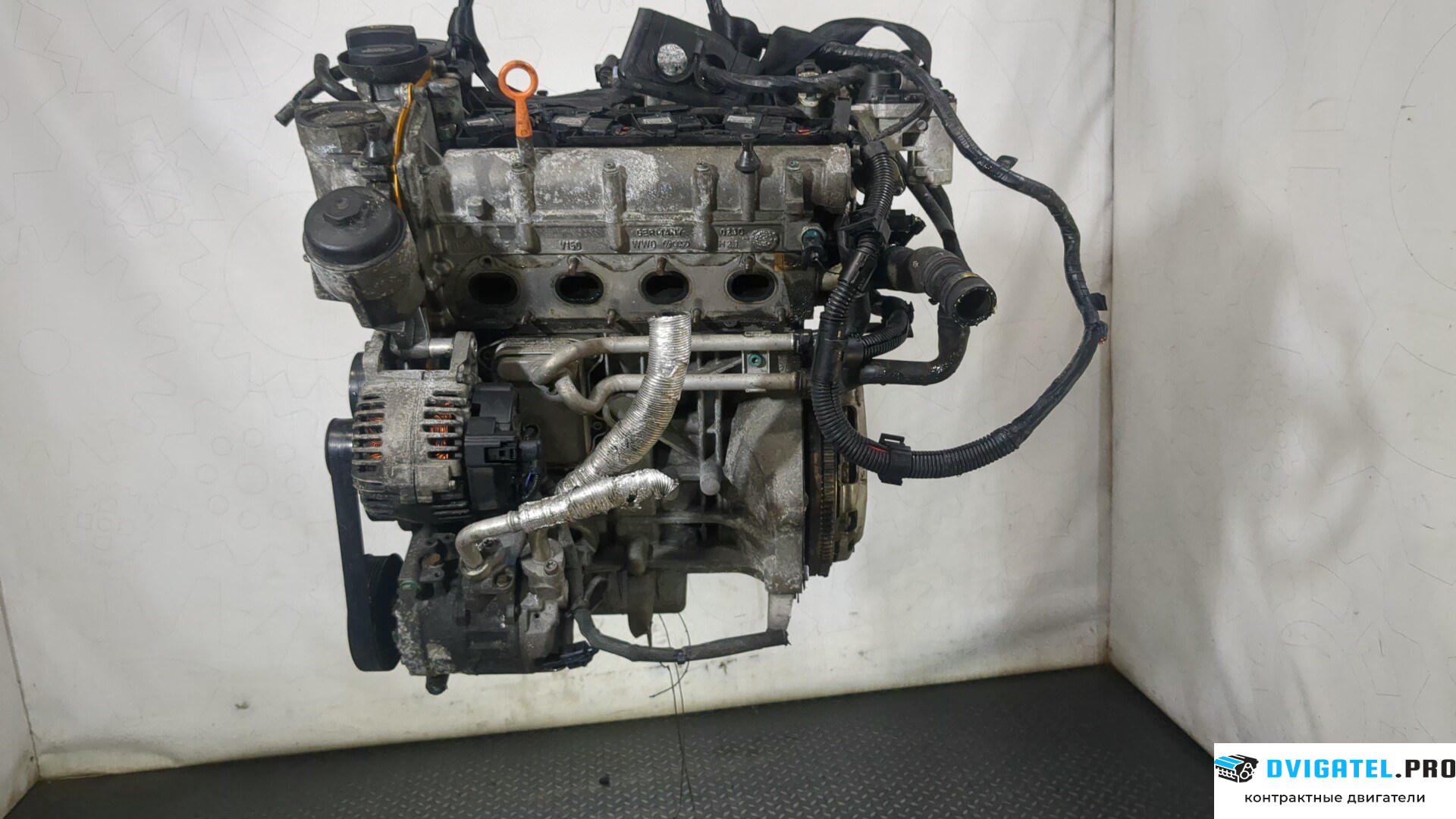 Двигатель Volkswagen Golf 5 2003 - 2009 BLF 1.6 л., Бензин, FSI, артикул 8836049