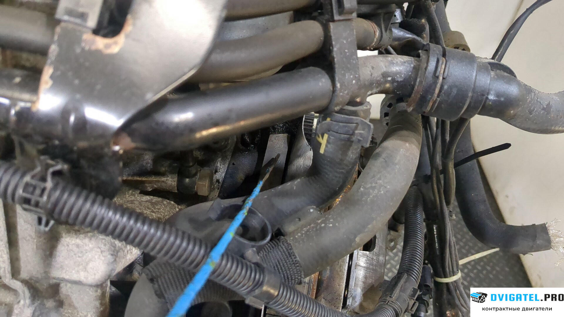 Двигатель Volkswagen Passat 5 2000 - 2005 BGW 2 л., Дизель, TDI, артикул 9251440