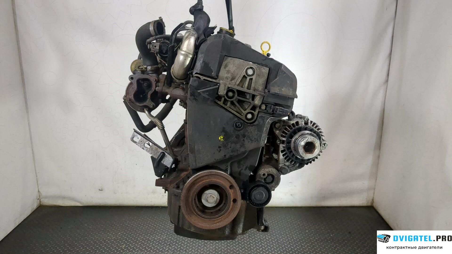 Двигатель Nissan Micra K12E 2003 - 2010 K9K 1.5 л., Дизель, DCI, артикул 9260457