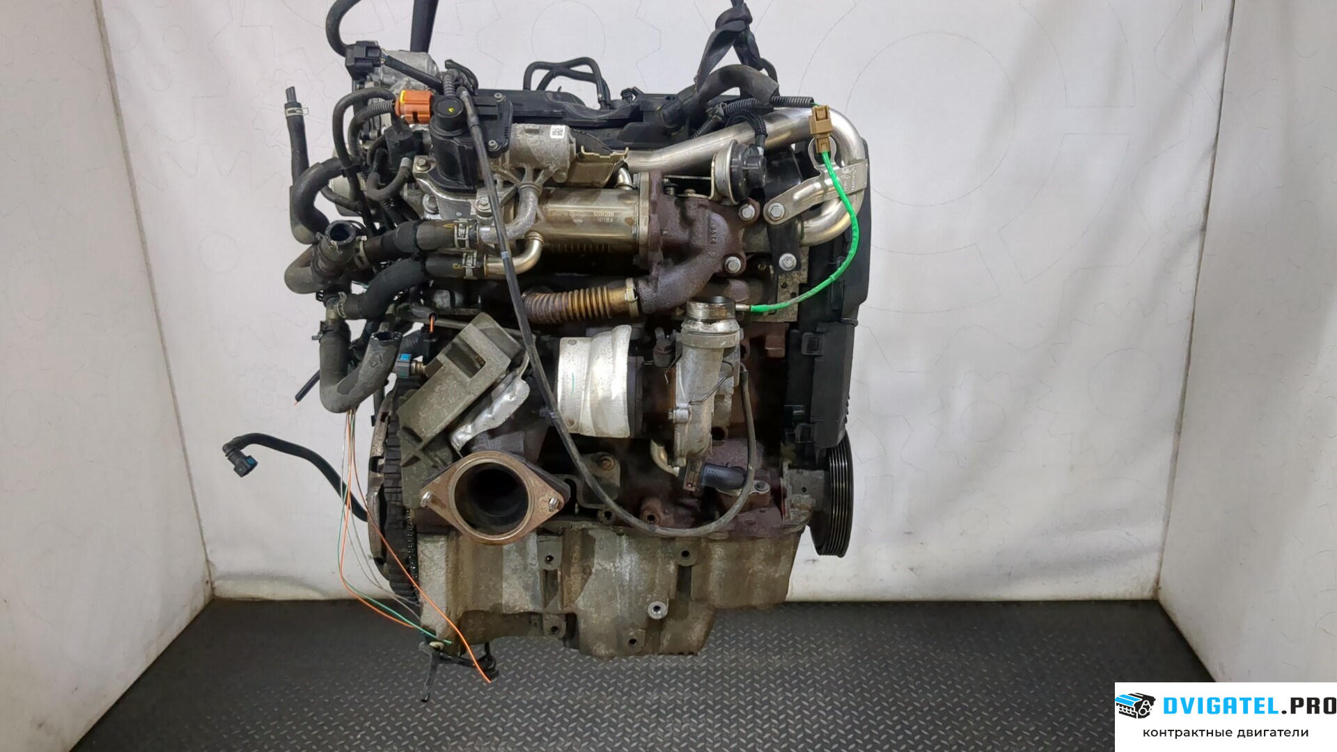 Двигатель Nissan Note E11 2006 - 2013 K9K 1.5 л., Дизель, DCI, артикул 9238762