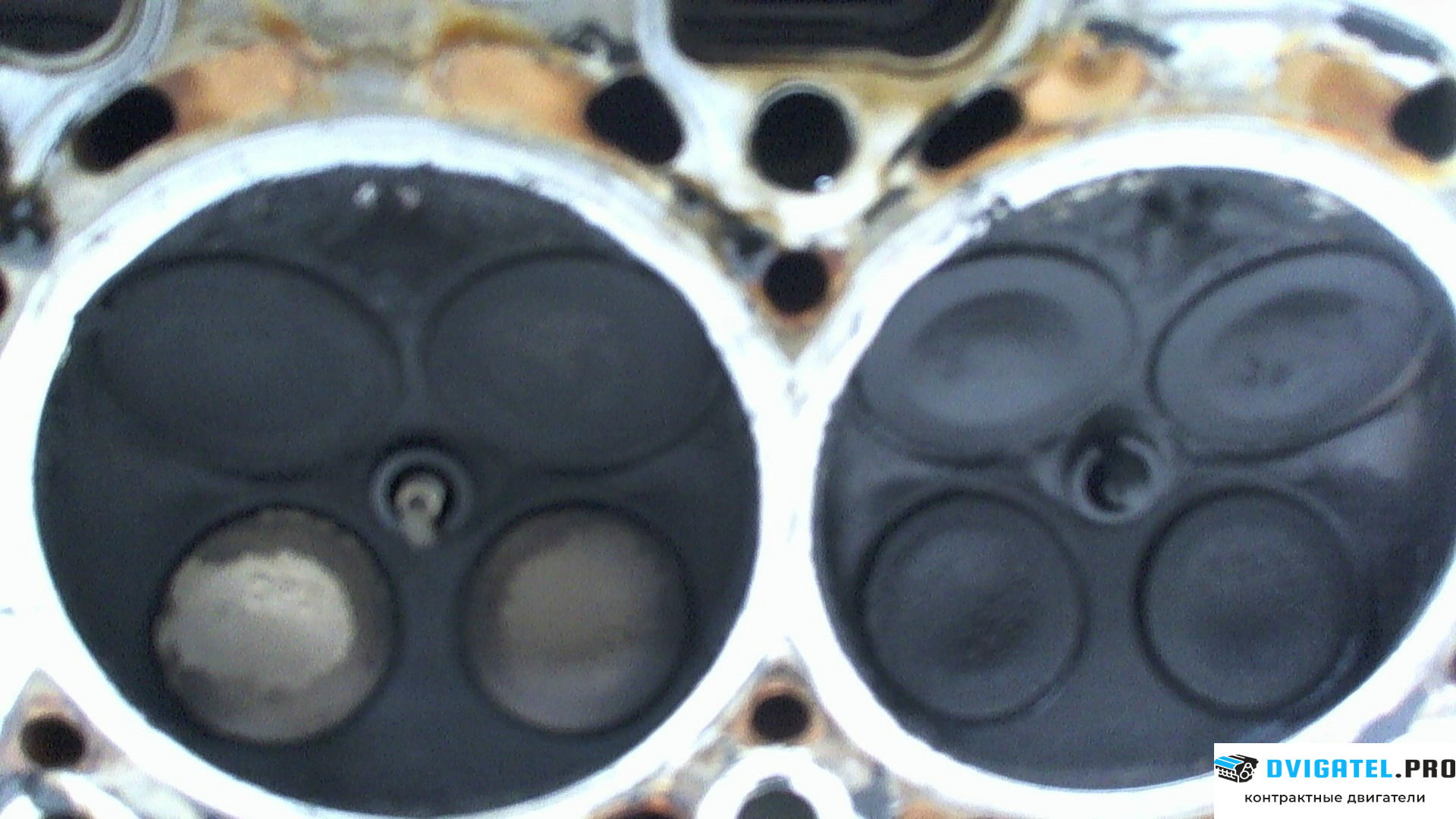Головка блока цилиндров (ГБЦ) Volvo S40 / V40 1995 - 2004 B4184SJ 1.8 л., Бензин, Инжектор, артикул 7054433