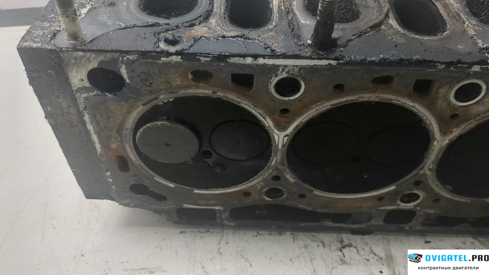 Головка блока цилиндров (ГБЦ) Opel Vivaro 2001 - 2014 F9Q 762 1.9 л., Дизель, DCI, артикул 8848096