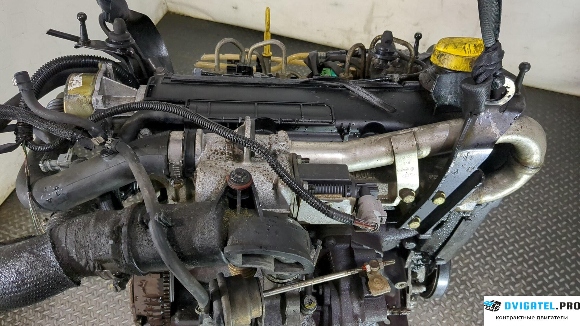 Двигатель Renault Kangoo 1998 - 2008 K9K 702 1.5 л., Дизель, DCI, артикул 8826418