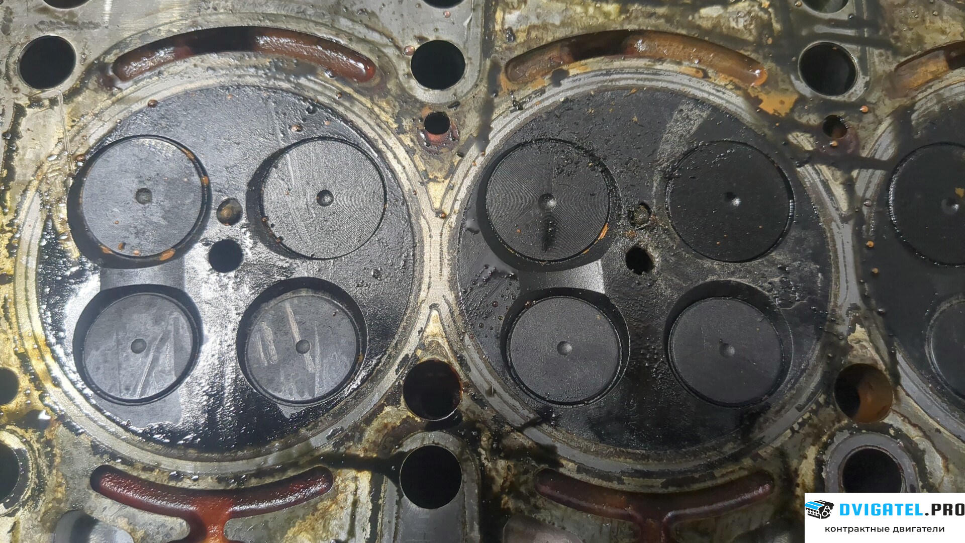 Головка блока цилиндров (ГБЦ) Mercedes Sprinter 2006 - 2014 OM 651.955 DE 22 LA 2.1 л., Дизель, CDI, артикул 8770199