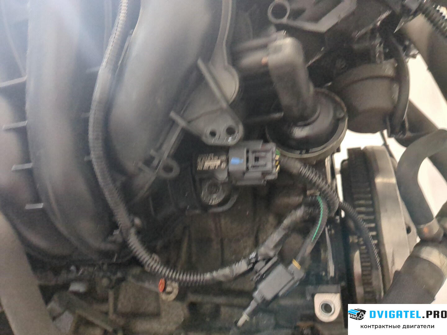 Двигатель Volvo S40 2004 - н.в. B4184S11 1.8 л., Бензин, Инжектор, артикул 9235689