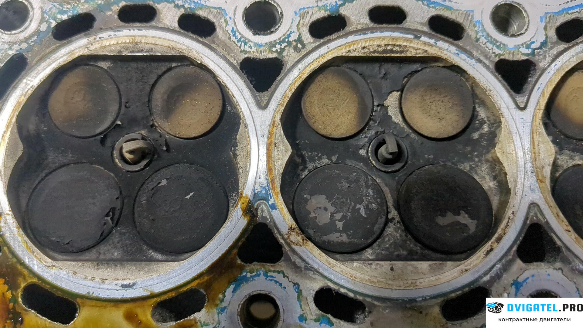 Головка блока цилиндров (ГБЦ) Nissan Micra K12E 2003 - 2010 CR12DE 1.2 л., Бензин, Инжектор, артикул 8905867
