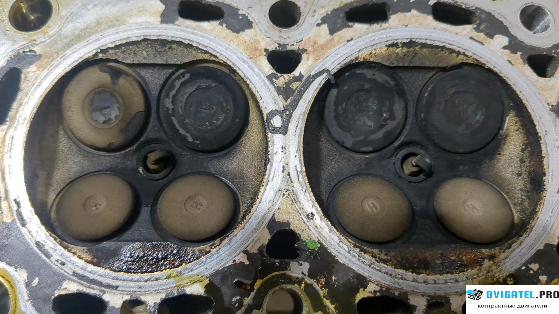 Головка блока цилиндров (ГБЦ) Ford Focus 2 2005 - 2008 ASDA, ASDB 1.4 л., Бензин, Инжектор, артикул 9153832