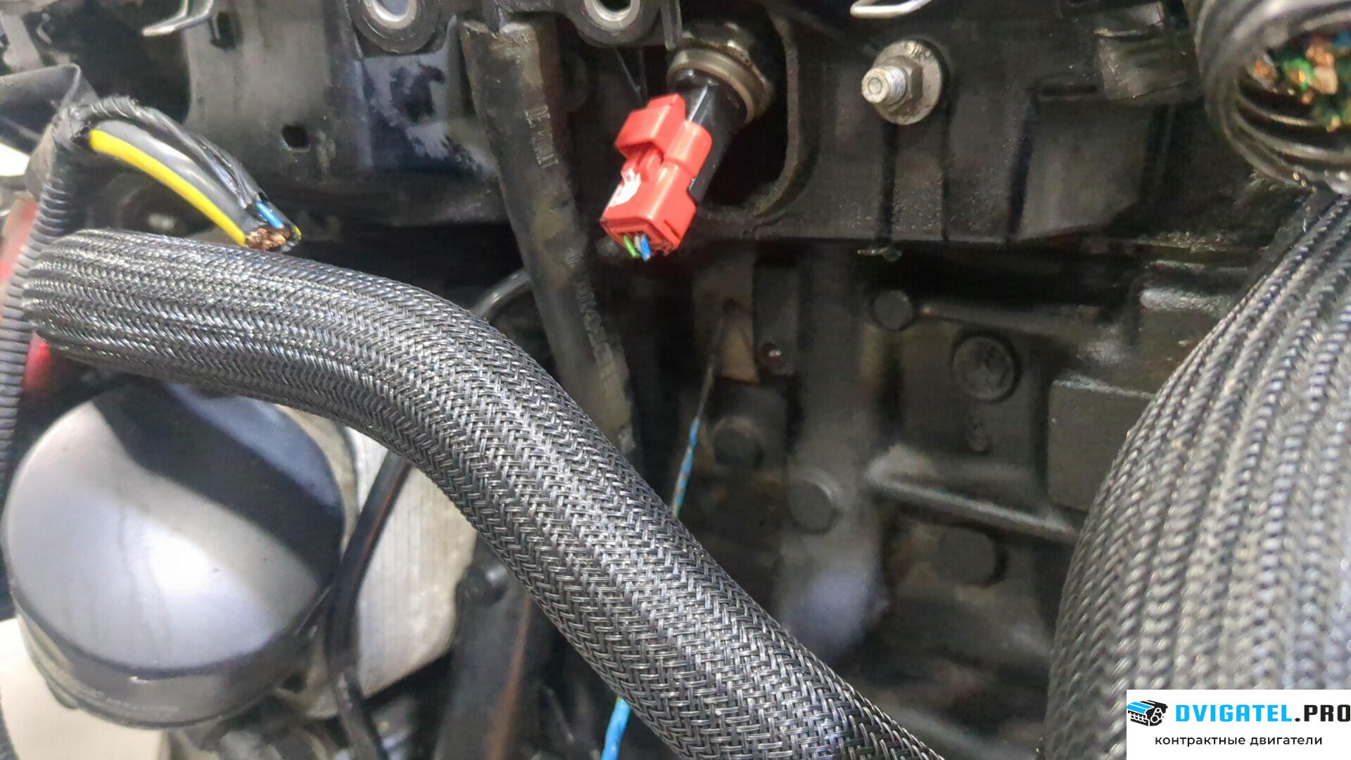 Двигатель Nissan Qashqai 2006 - 2013 K9K 1.5 л., Дизель, DCI, артикул 9278970