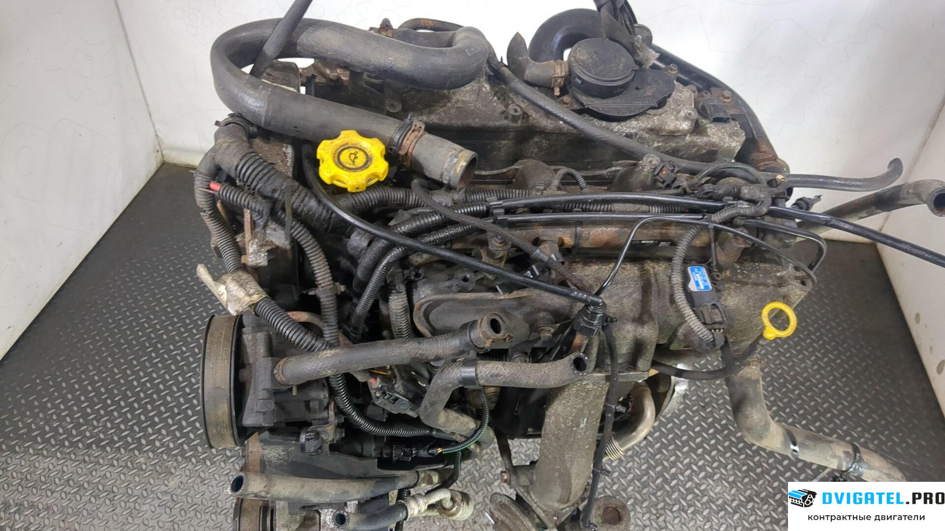 Двигатель LDV (DAF) Maxus VM39C 2.5 л., Дизель, Турбо, артикул 9013260