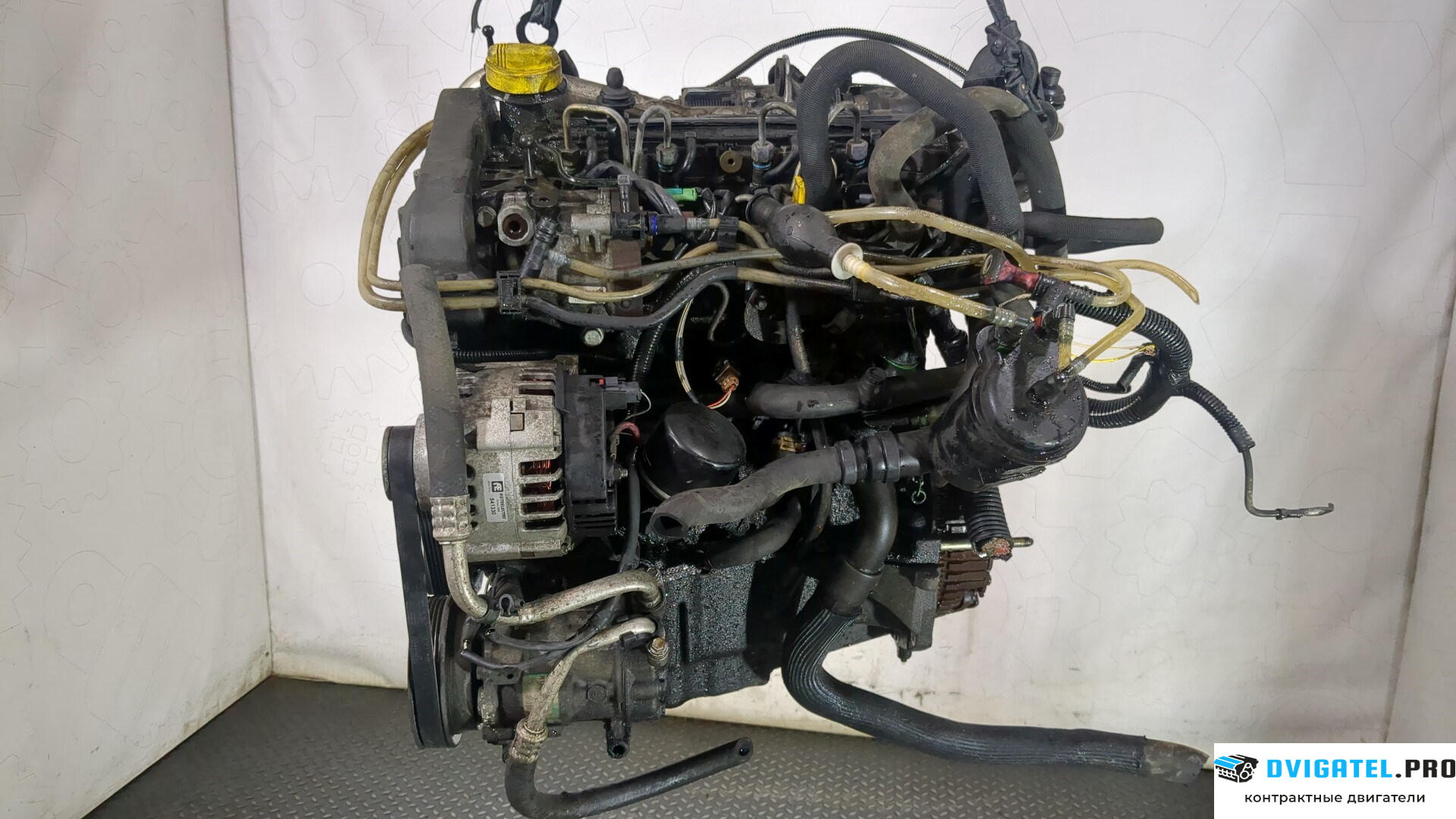 Двигатель Renault Kangoo 1998 - 2008 K9K 704 1.5 л., Дизель, DCI, артикул 8870995