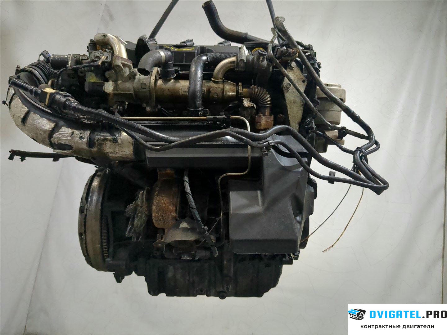 Двигатель Ford Galaxy 2006 - 2010 QXWA, QXWB, QXWC 2 л., Дизель, TDCI, артикул 8113985