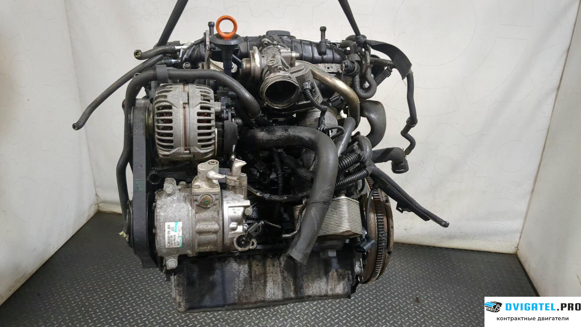 Двигатель Volkswagen Golf 5 2003 - 2009 BKD 2 л., Дизель, TDI, артикул 8389854