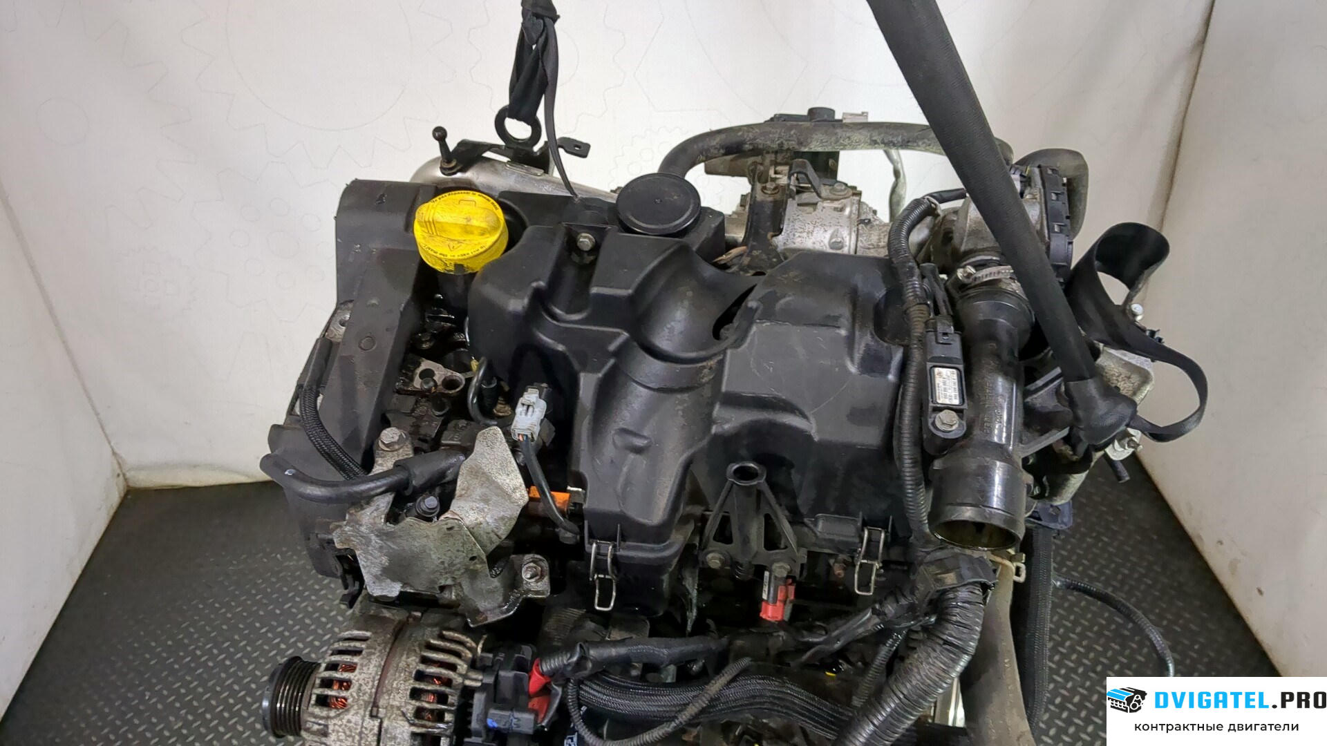 Двигатель Nissan Qashqai 2006 - 2013 K9K 1.5 л., Дизель, DCI, артикул 9259338