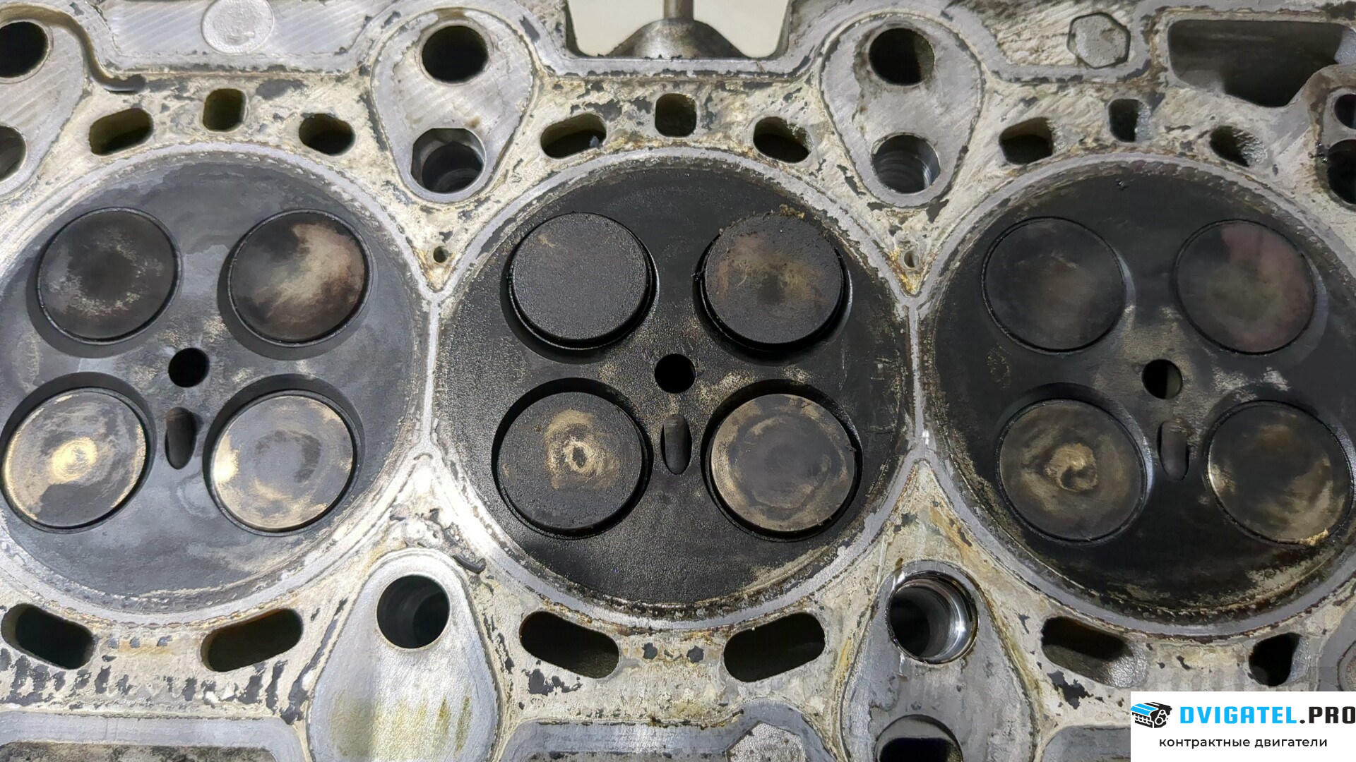 Головка блока цилиндров (ГБЦ) BMW 5 E39 1995 - 2003 30 6D 1 3 л., Дизель, Турбо, артикул 9222508