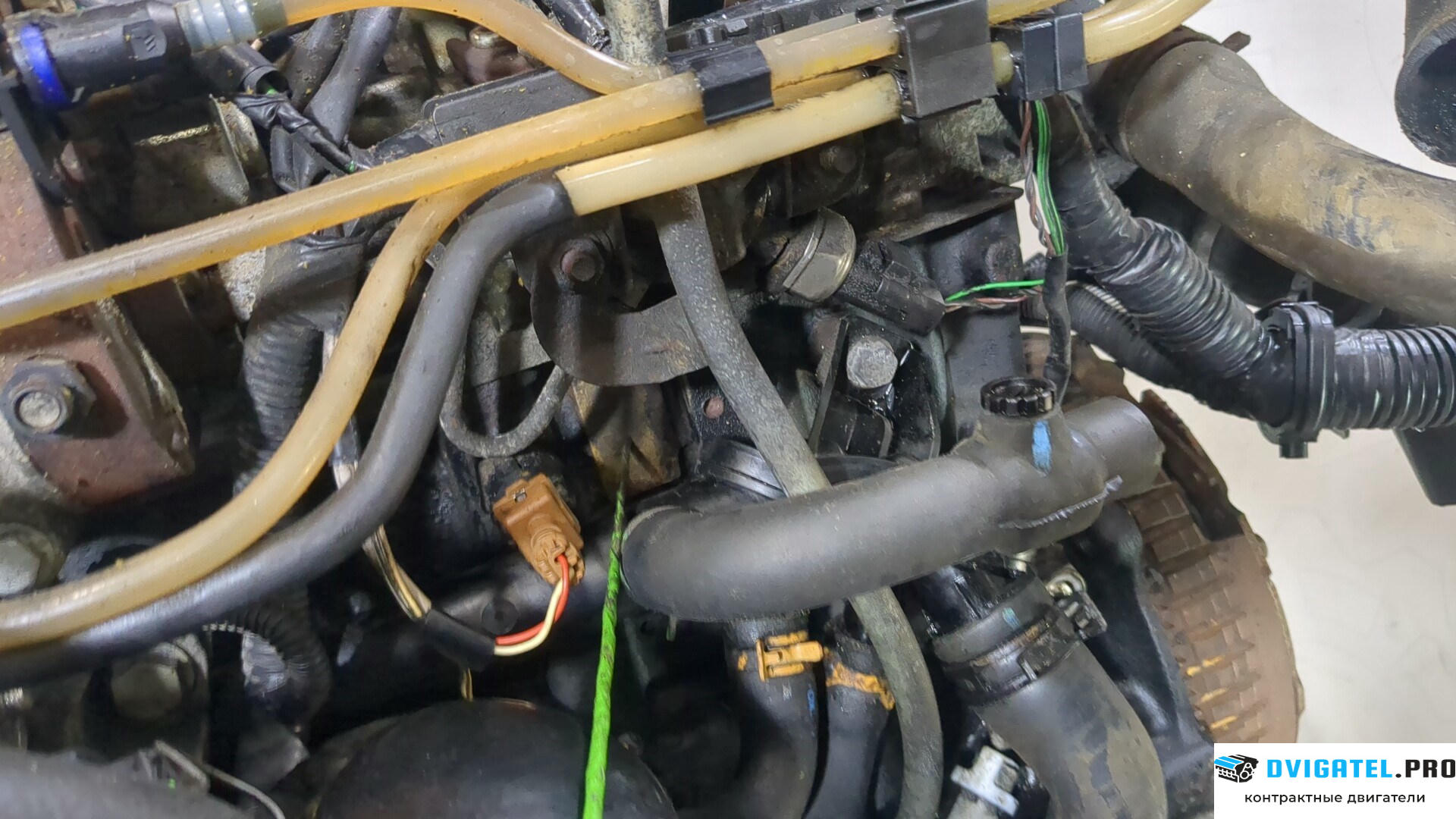 Двигатель Renault Kangoo 1998 - 2008 K9K 702 1.5 л., Дизель, DCI, артикул 8834759