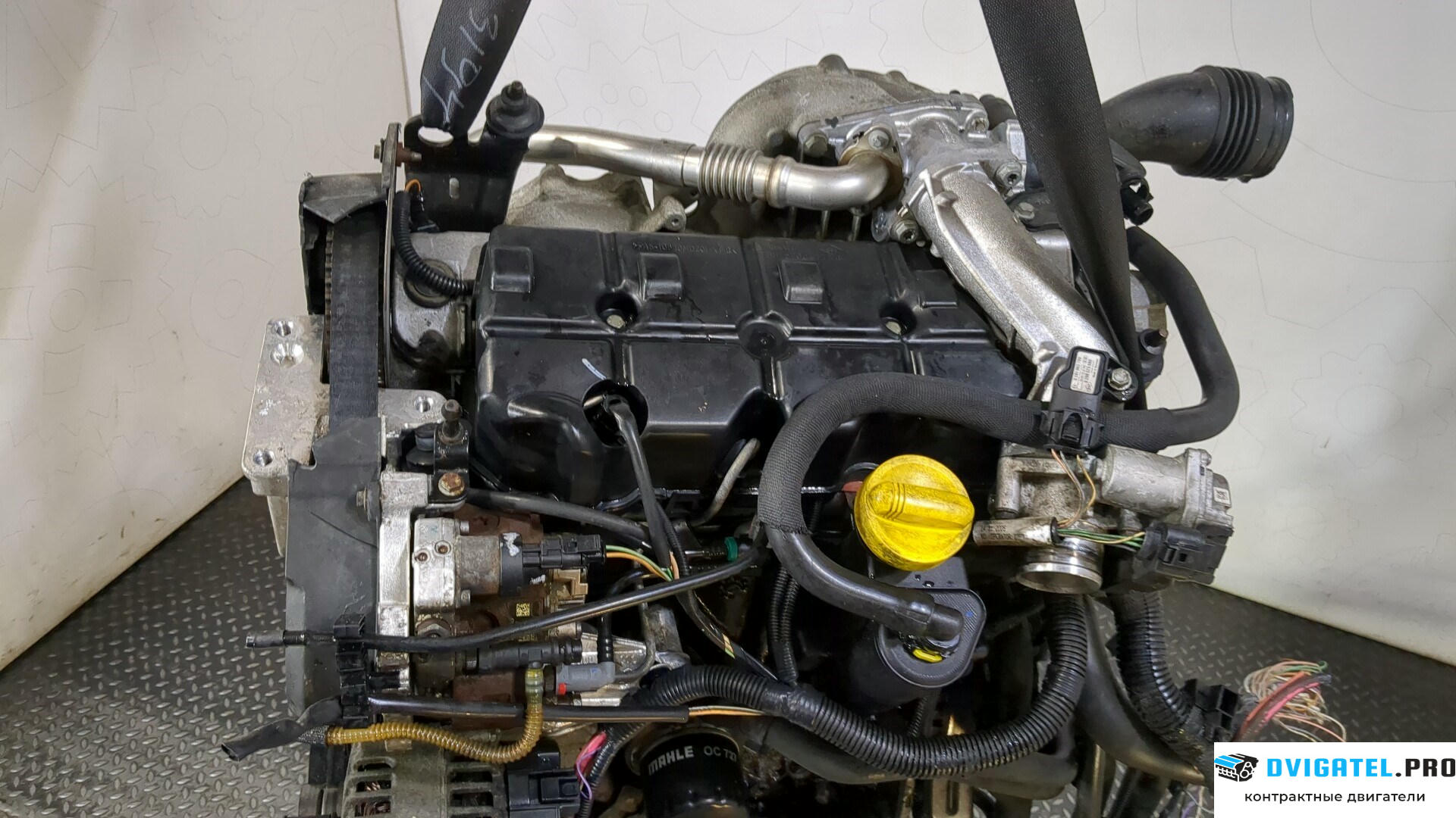 Двигатель Renault Scenic 2003 - 2009 F9Q 804 1.9 л., Дизель, DCI, артикул 8977742