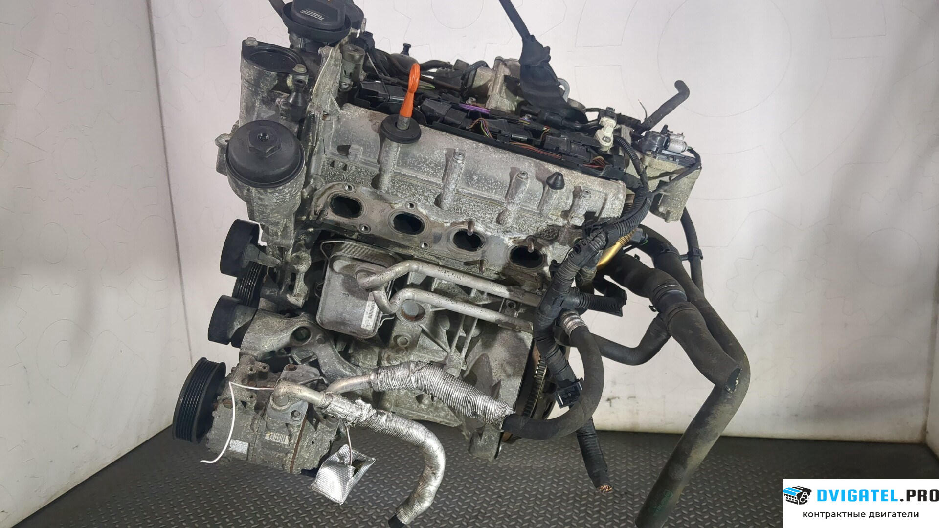Двигатель Volkswagen Golf 5 2003 - 2009 BLF 1.6 л., Бензин, FSI, артикул 8948818