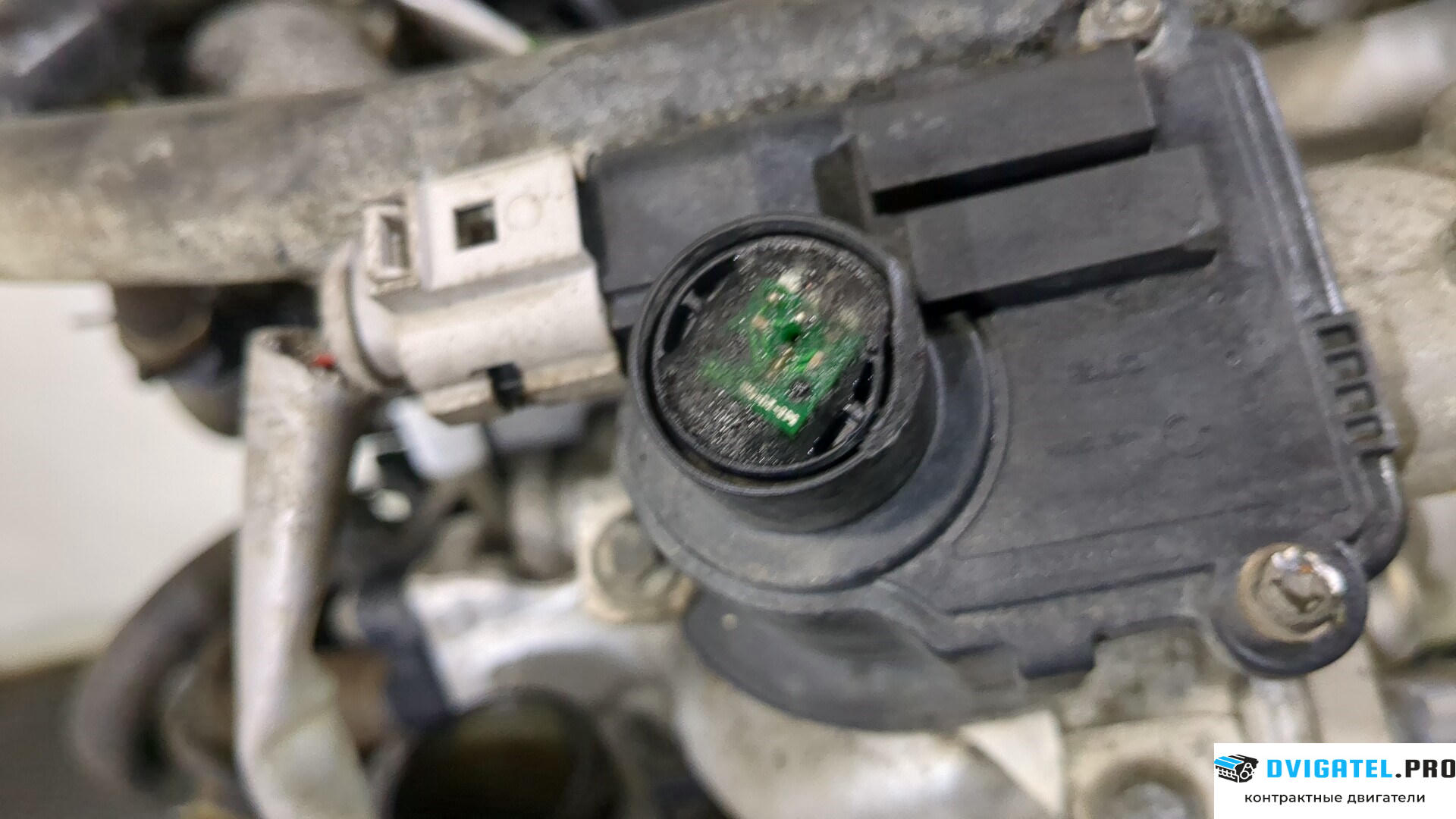 Двигатель Nissan Qashqai 2006 - 2013 K9K 1.5 л., Дизель, DCI, артикул 9259338