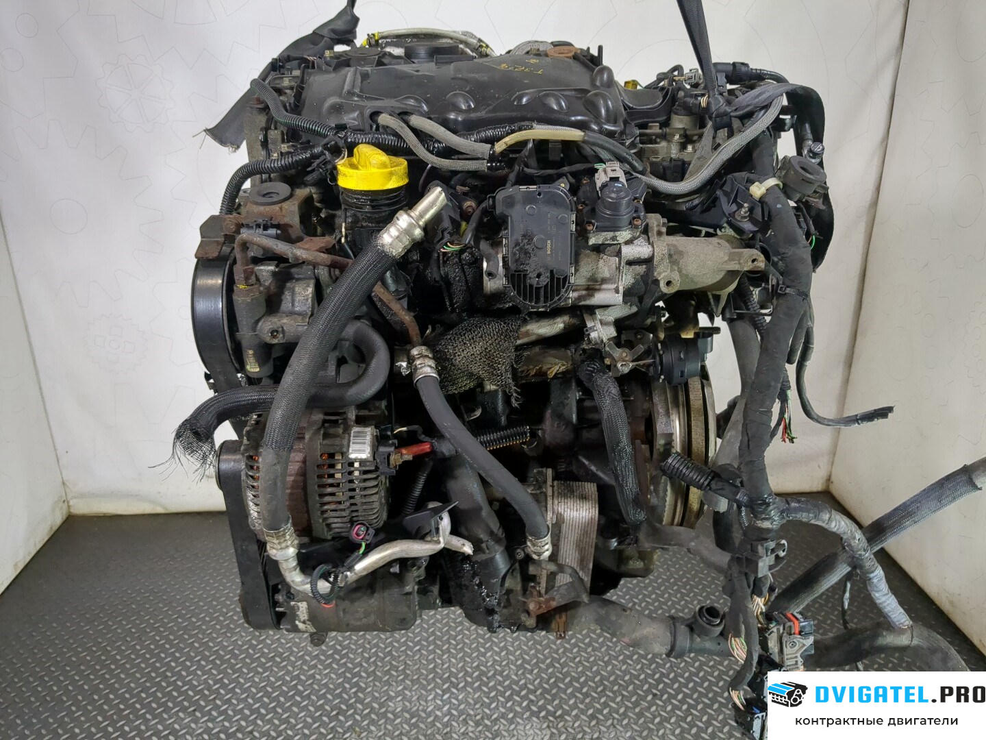 Двигатель Renault Espace 4 2002 - н.в. M9R 760 2 л., Дизель, DCI, артикул 8651810
