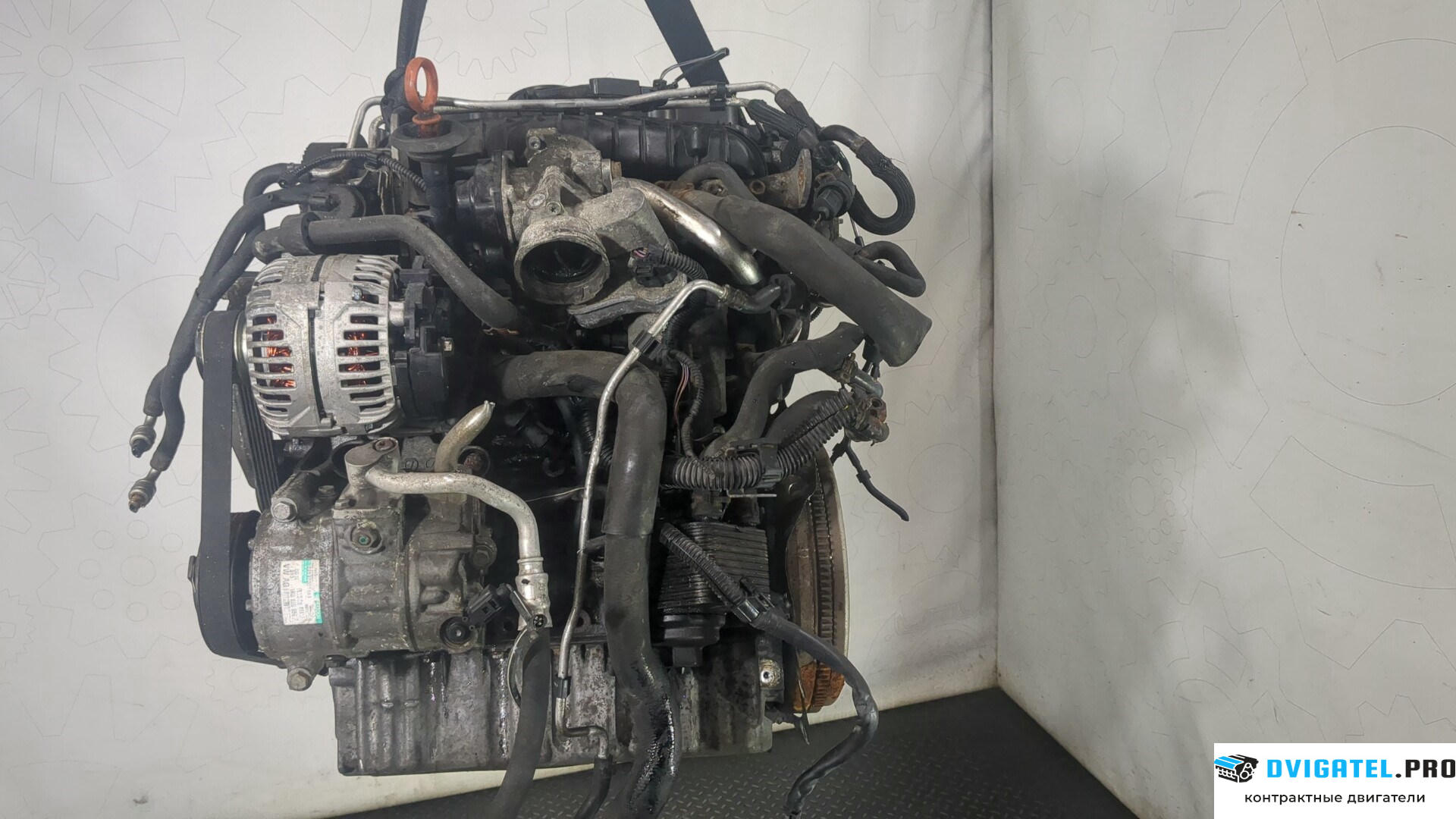 Двигатель Audi A3 8P 2004 - 2008 BMN 2 л., Дизель, TDI, артикул 8815211
