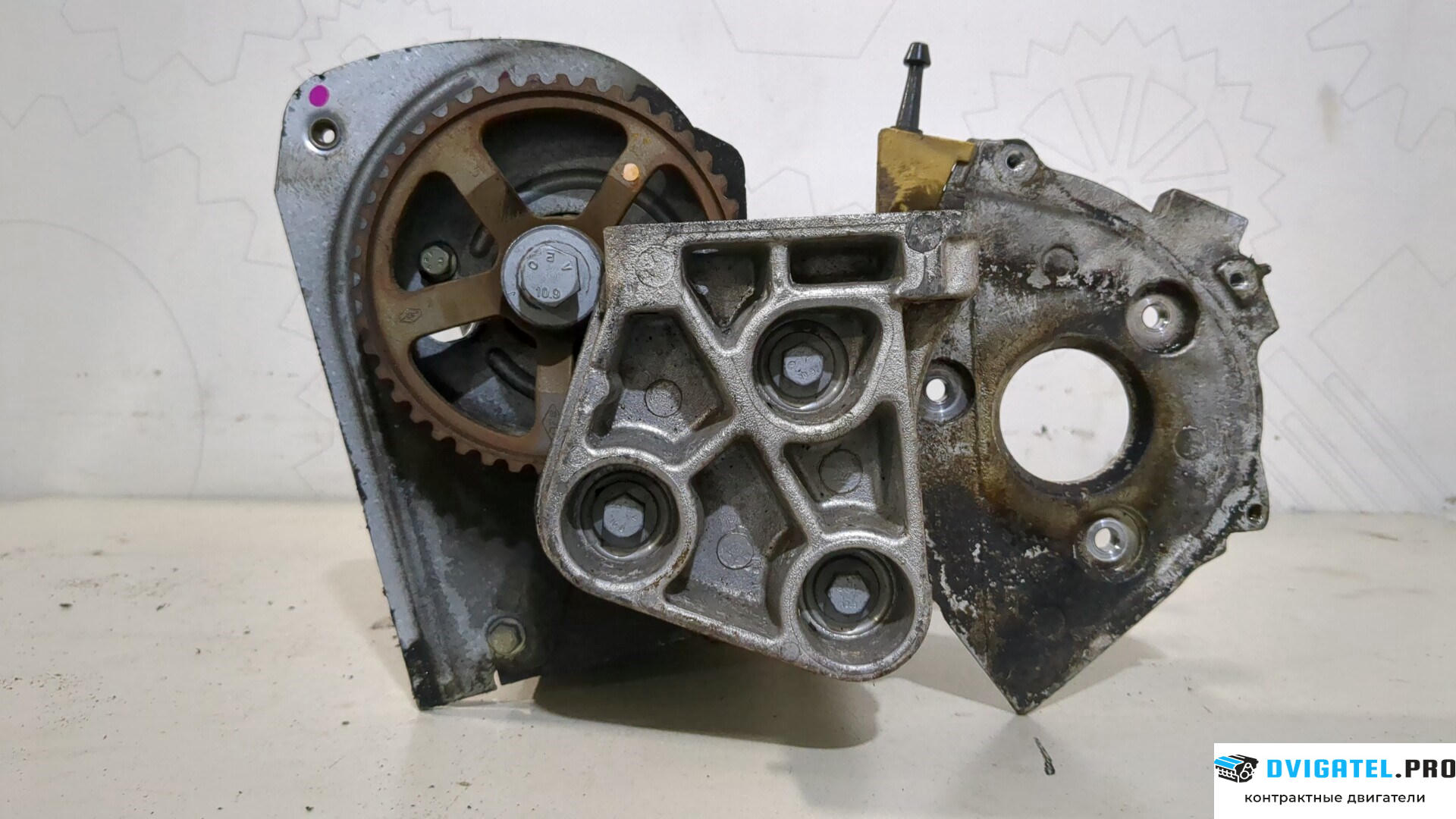 Головка блока цилиндров (ГБЦ) Renault Scenic 2003 - 2009 F9Q 804 1.9 л., Дизель, DCI, артикул 9239610