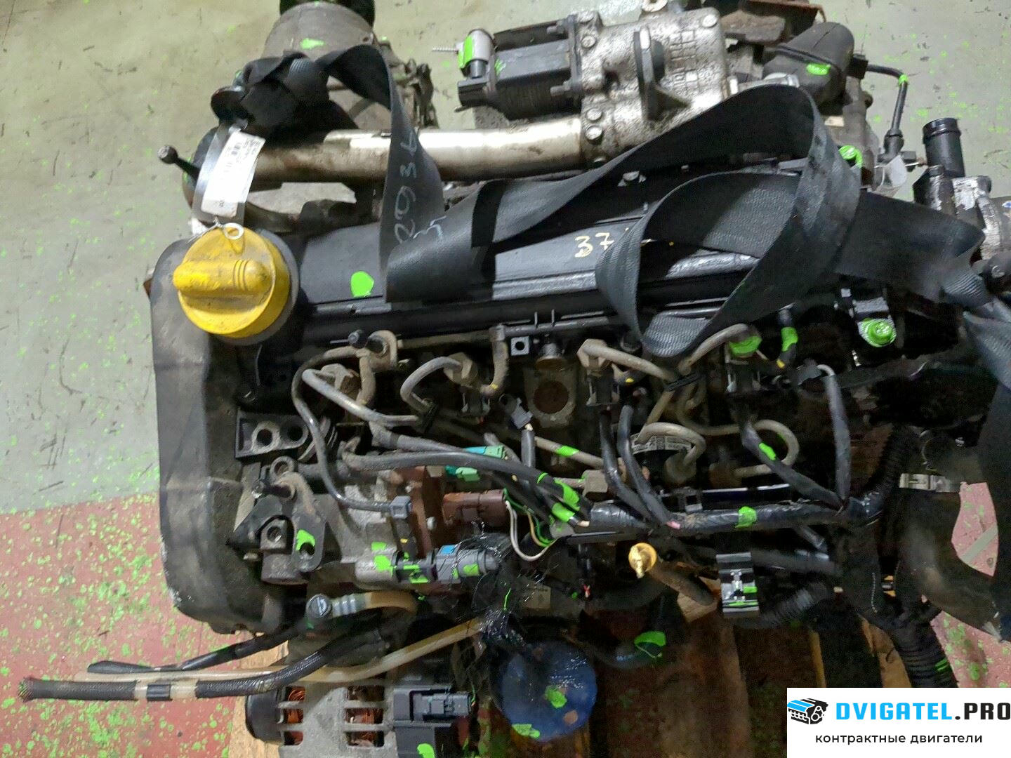 Двигатель Dacia Logan 2004 - 2012 K9K790 1.5 л., Дизель, DCI, артикул 8302147