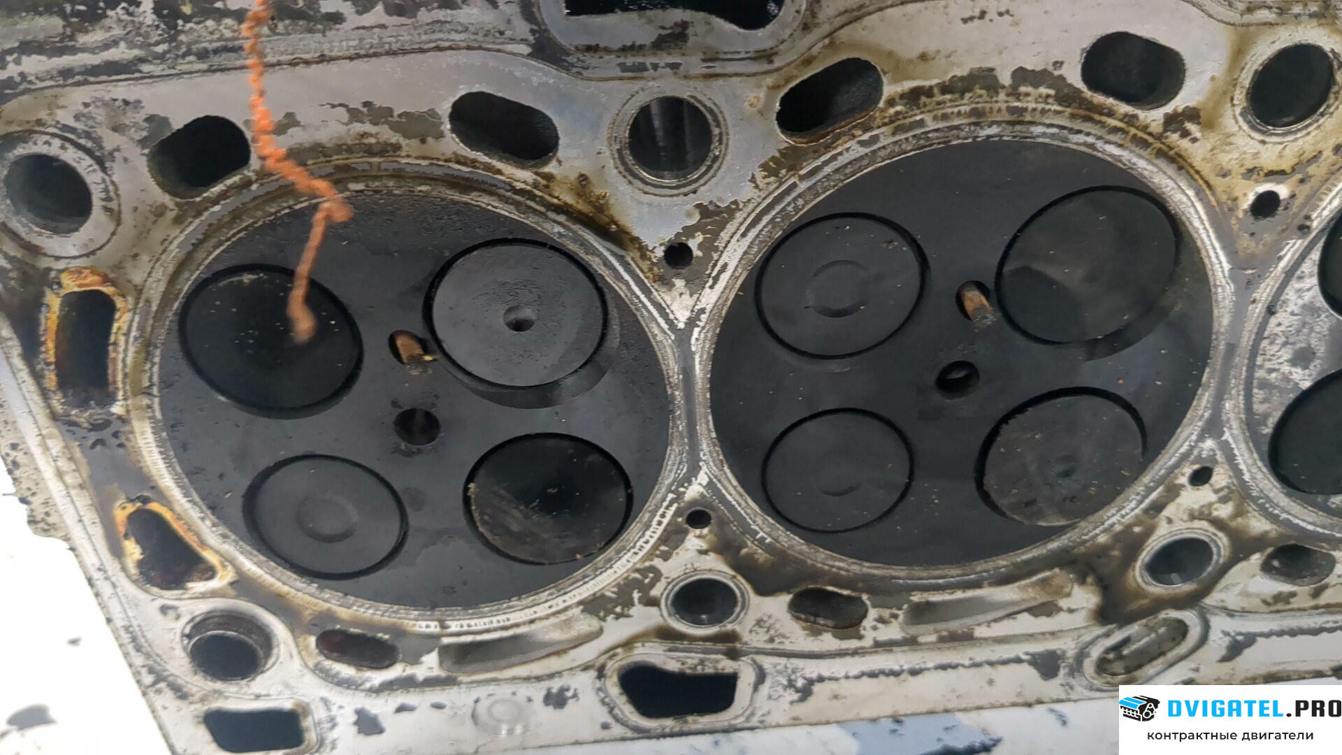 Головка блока цилиндров (ГБЦ) Nissan Qashqai 2006 - 2013 M9R 2 л., Дизель, DCI, артикул 9023853
