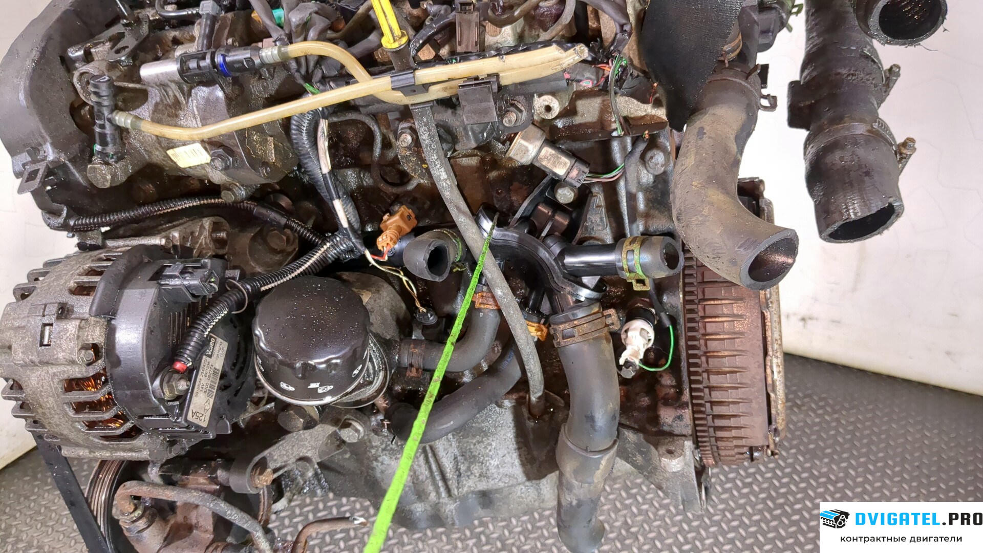 Двигатель Renault Kangoo 1998 - 2008 K9K 702 1.5 л., Дизель, DCI, артикул 8826418