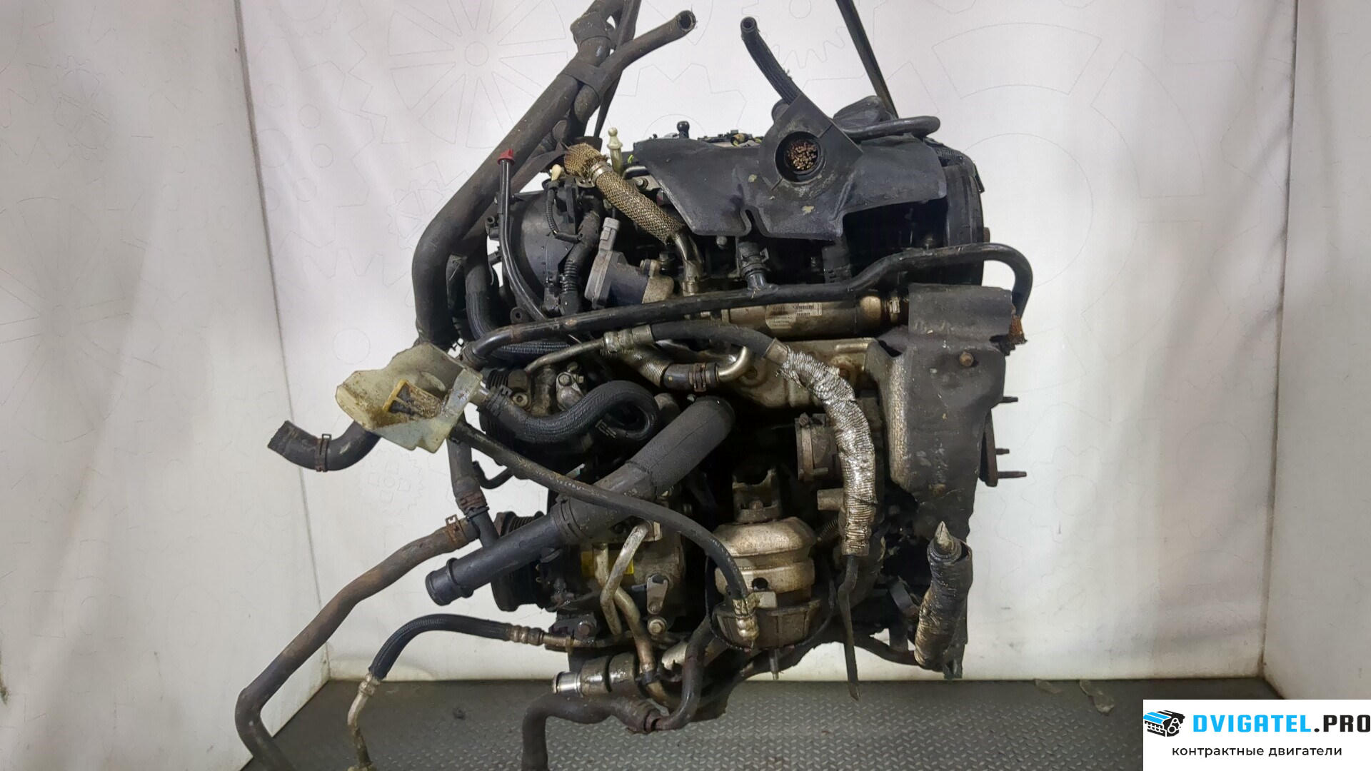 Двигатель Jaguar S-type 276DT 7B/7G 2.7 л., Дизель, TD, артикул 8954190