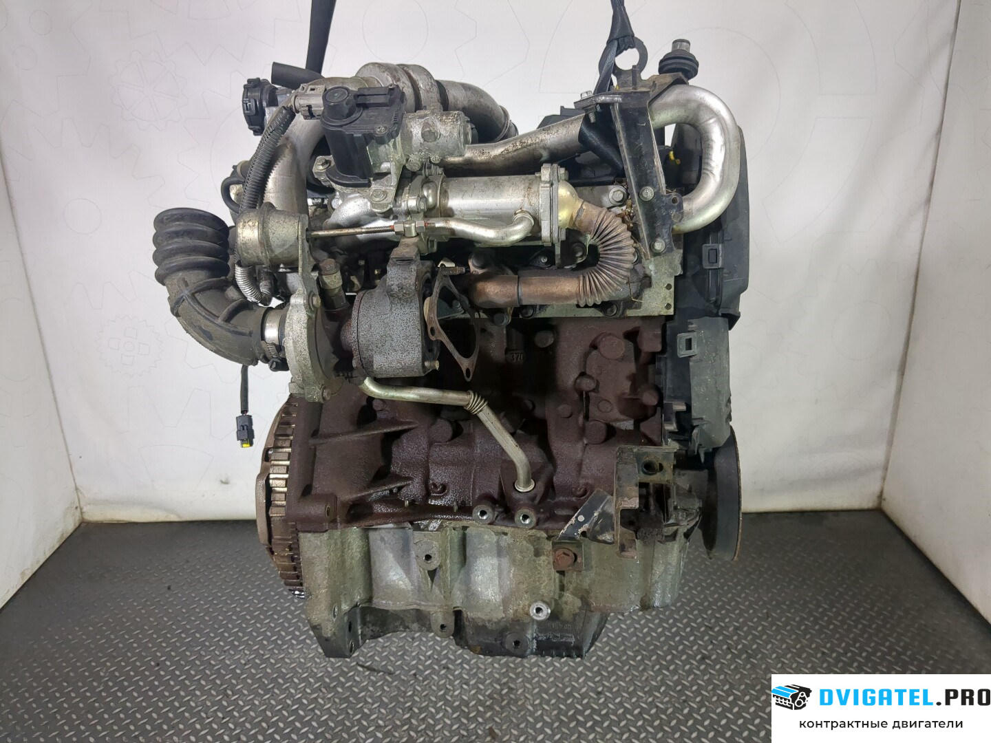 Двигатель Nissan Micra K12E 2003 - 2010 K9K 1.5 л., Дизель, DCI, артикул 8568434