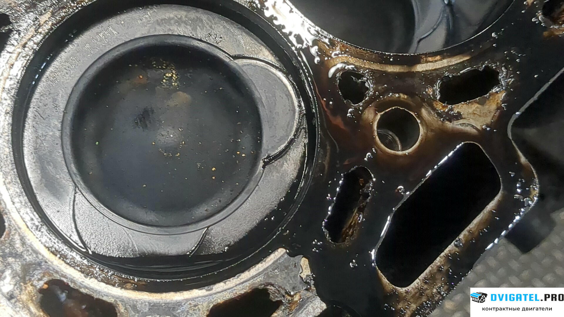 Шорт блок (Блок цилиндров) Nissan Qashqai 2006 - 2013 K9K 1.5 л., Дизель, DCI, артикул 8819437