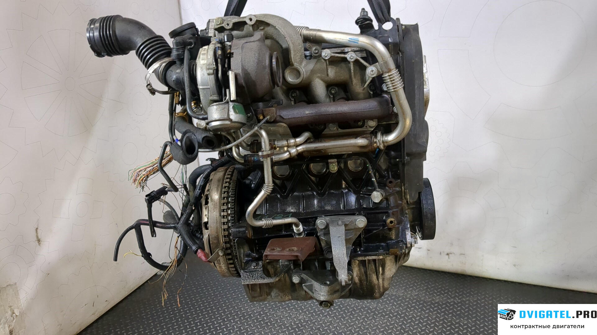 Двигатель Renault Scenic 2003 - 2009 F9Q 804 1.9 л., Дизель, DCI, артикул 8977742