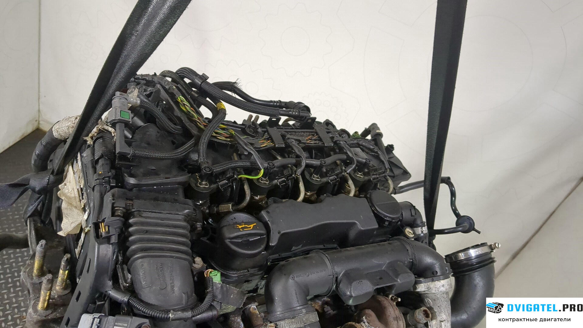Двигатель Ford Fusion 2002 - 2012 HHJB, HHJA 1.6 л., Дизель, TDCI, артикул 8569081