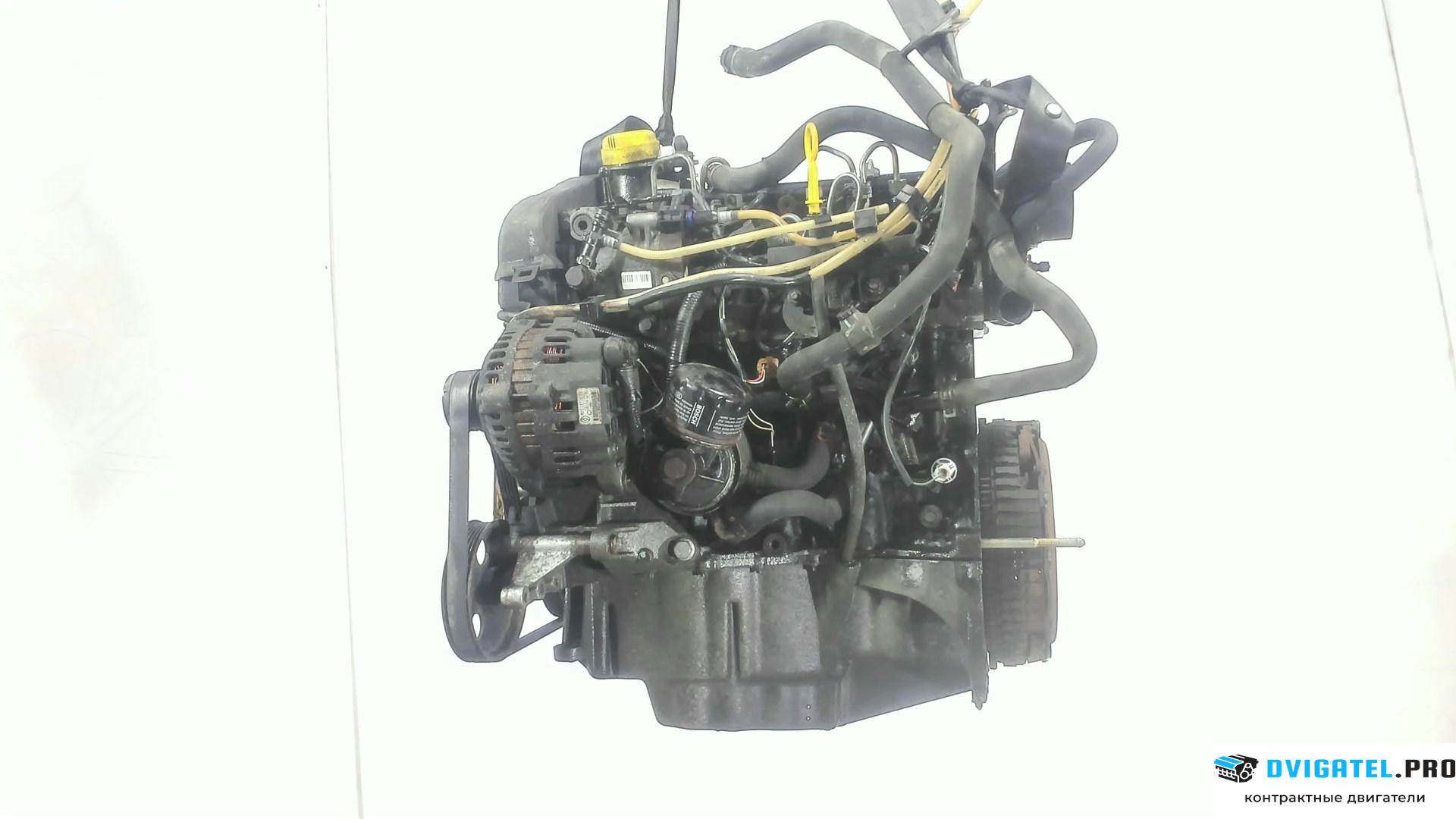 Двигатель Renault Clio 1998 - 2008 K9K 704 1.5 л., Дизель, DCI, артикул 7295712