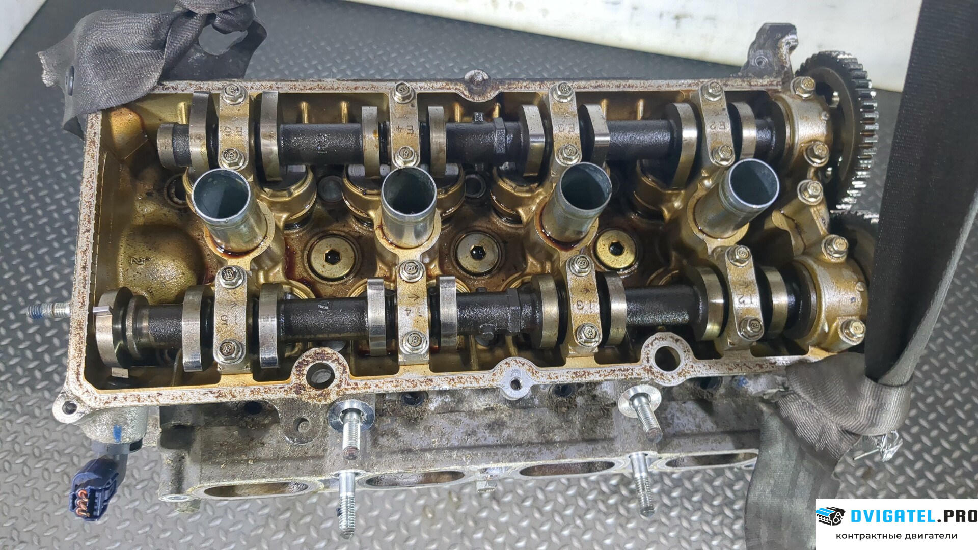 Головка блока цилиндров (ГБЦ) Suzuki Splash K12B 1.2 л., Бензин, Инжектор, артикул 8921926