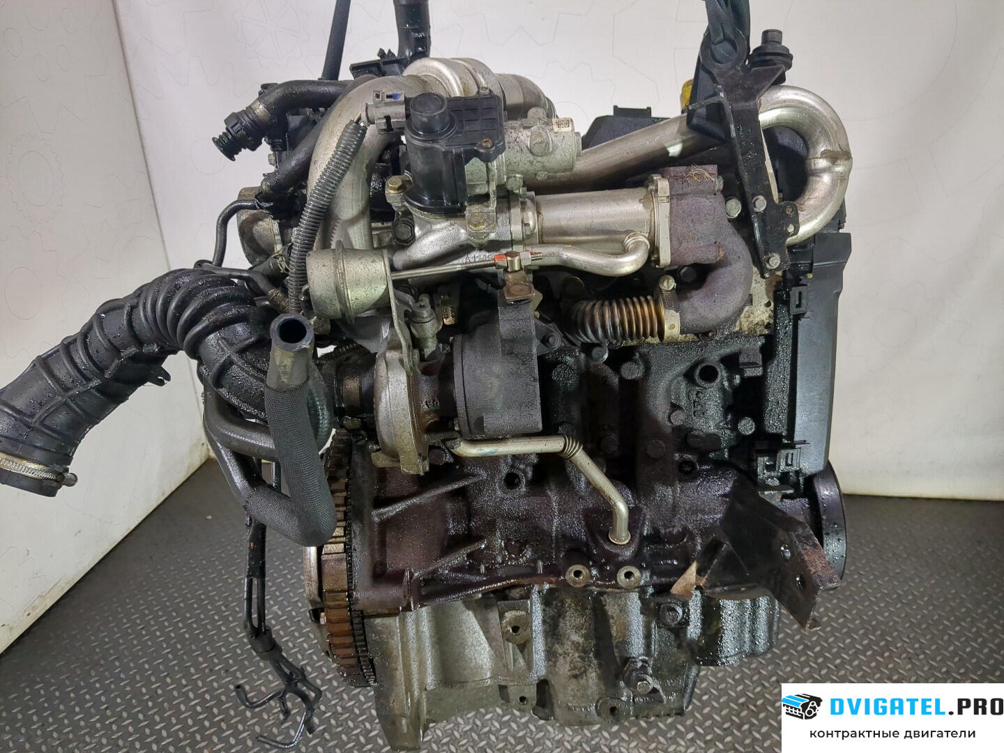 Двигатель Nissan Micra K12E 2003 - 2010 K9K 1.5 л., Дизель, DCI, артикул 8543143
