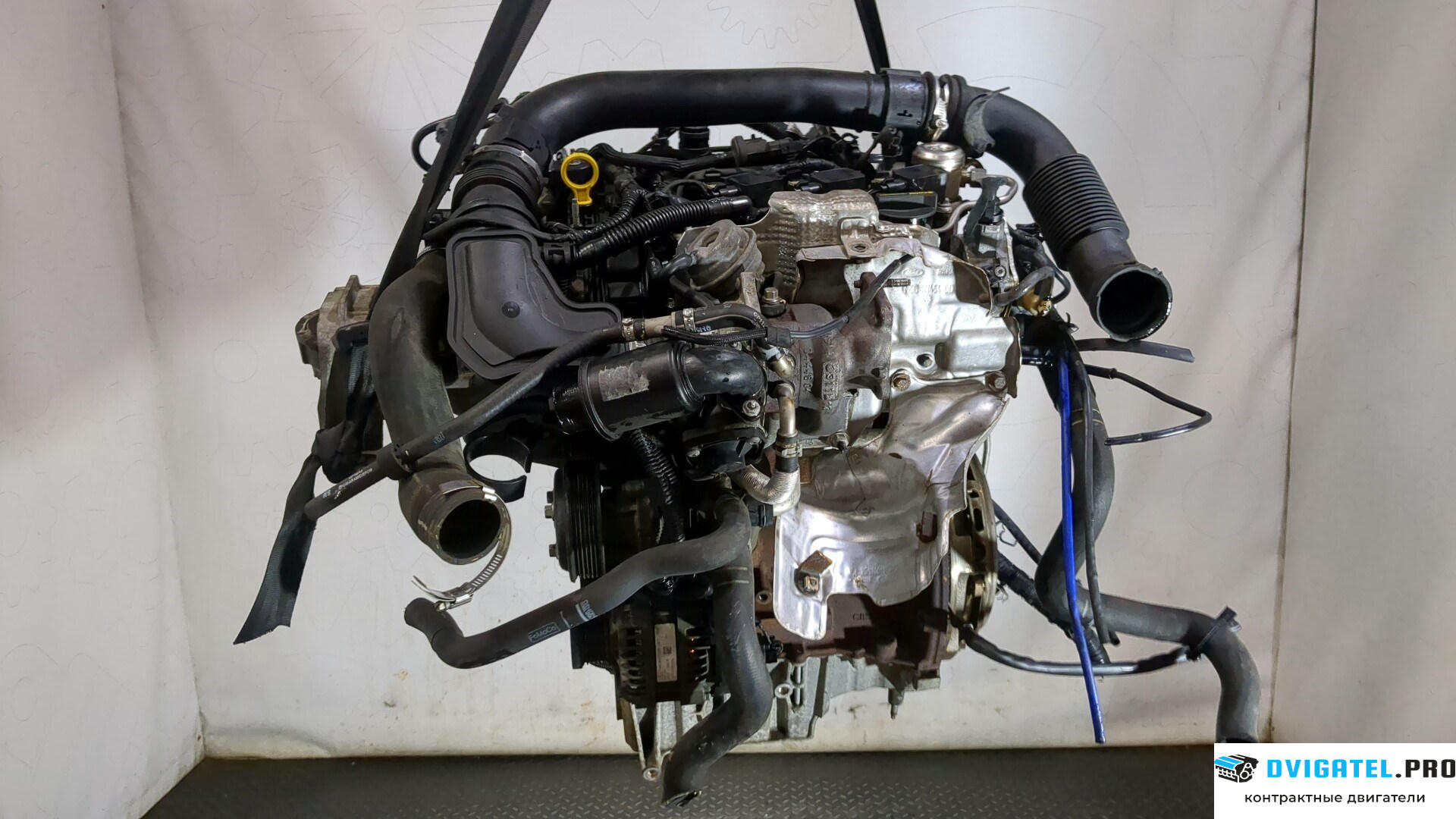 Двигатель Ford Focus 3 2011 - 2015 M2DA 1 л., Бензин, EcoBoost, артикул 9285348