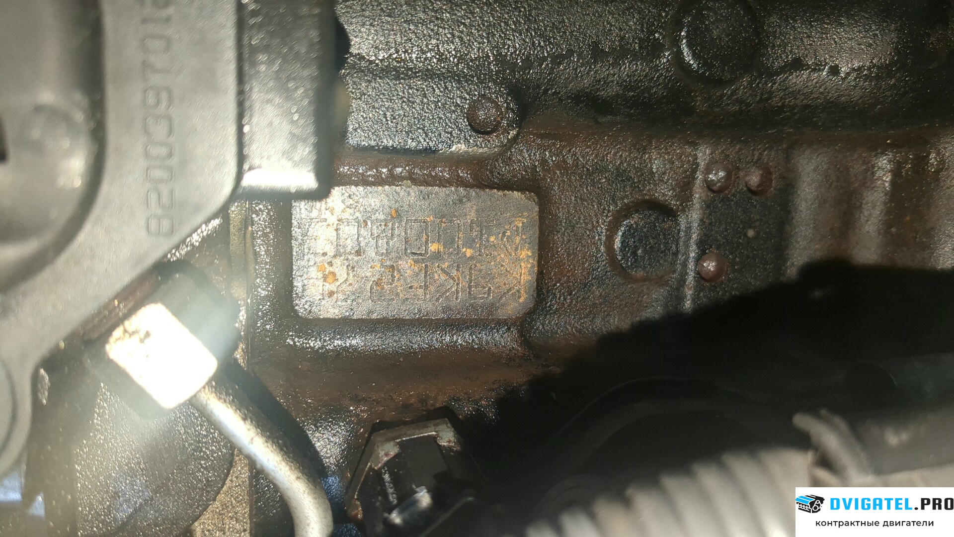 Двигатель Nissan Note E11 2006 - 2013 K9K 1.5 л., Дизель, DCI, артикул 9006880