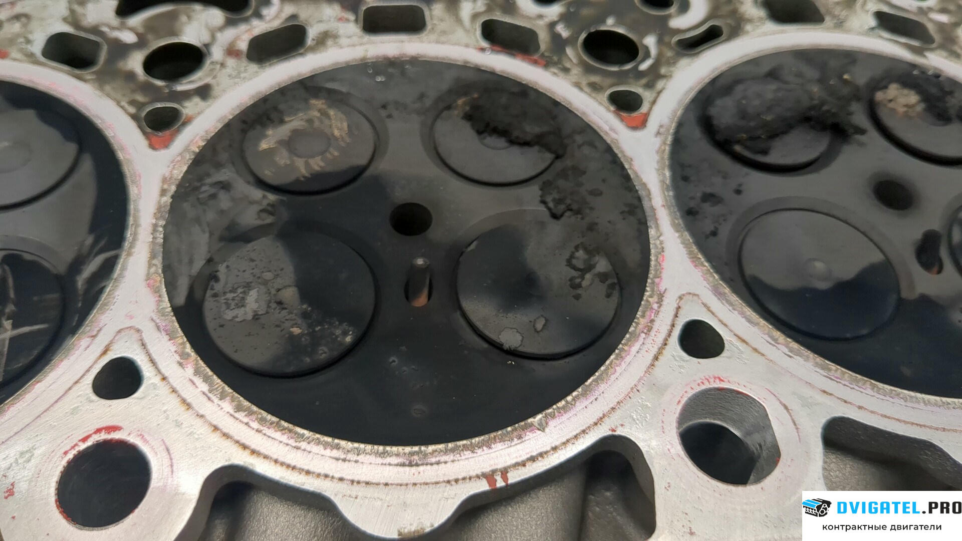 Головка блока цилиндров (ГБЦ) BMW X3 G01 2017 - 2021 B47D20B 2 л., Дизель, Турбо, артикул 8900424